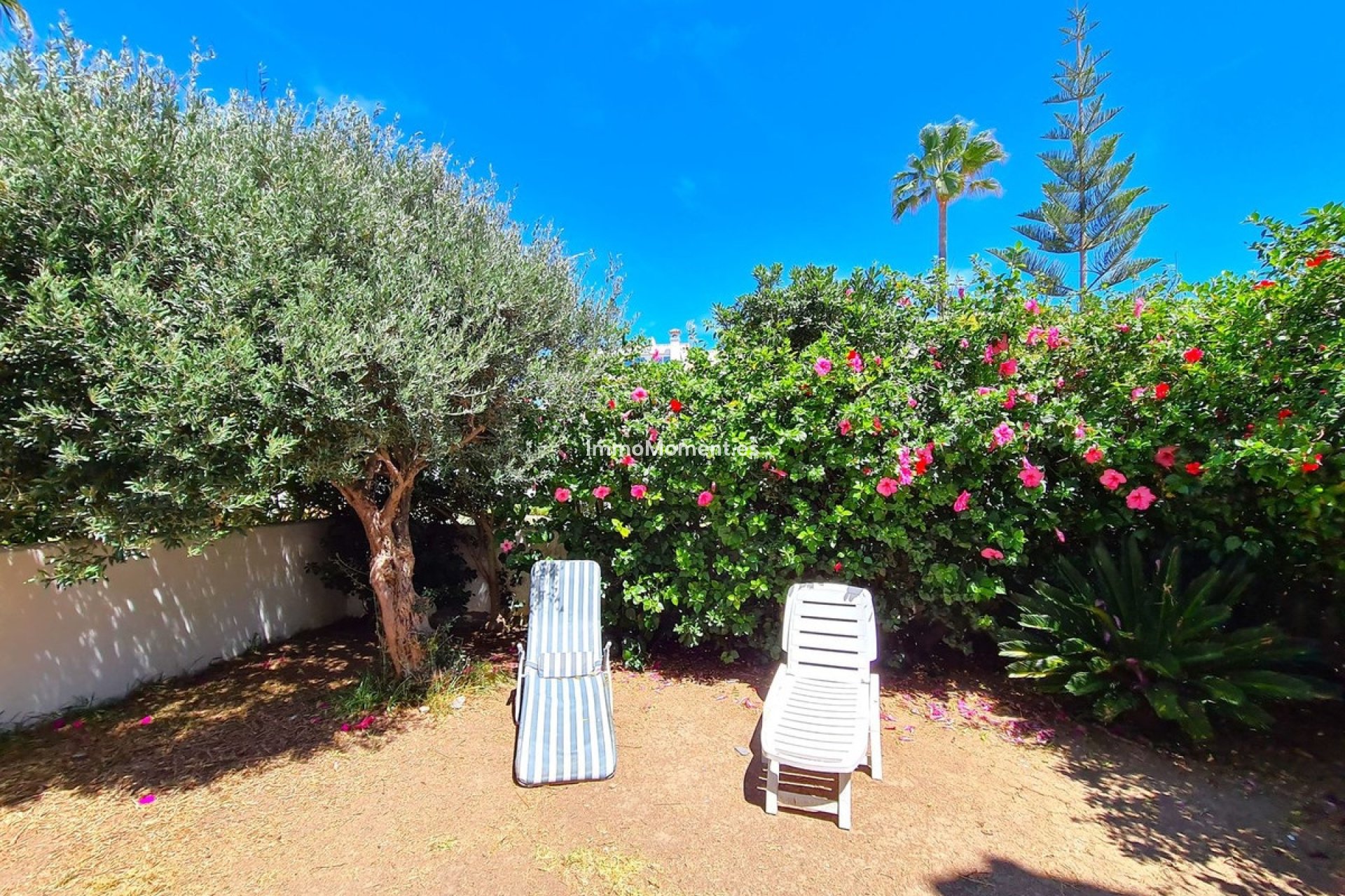 Reventa - Villa independiente - Casares - Casares Playa