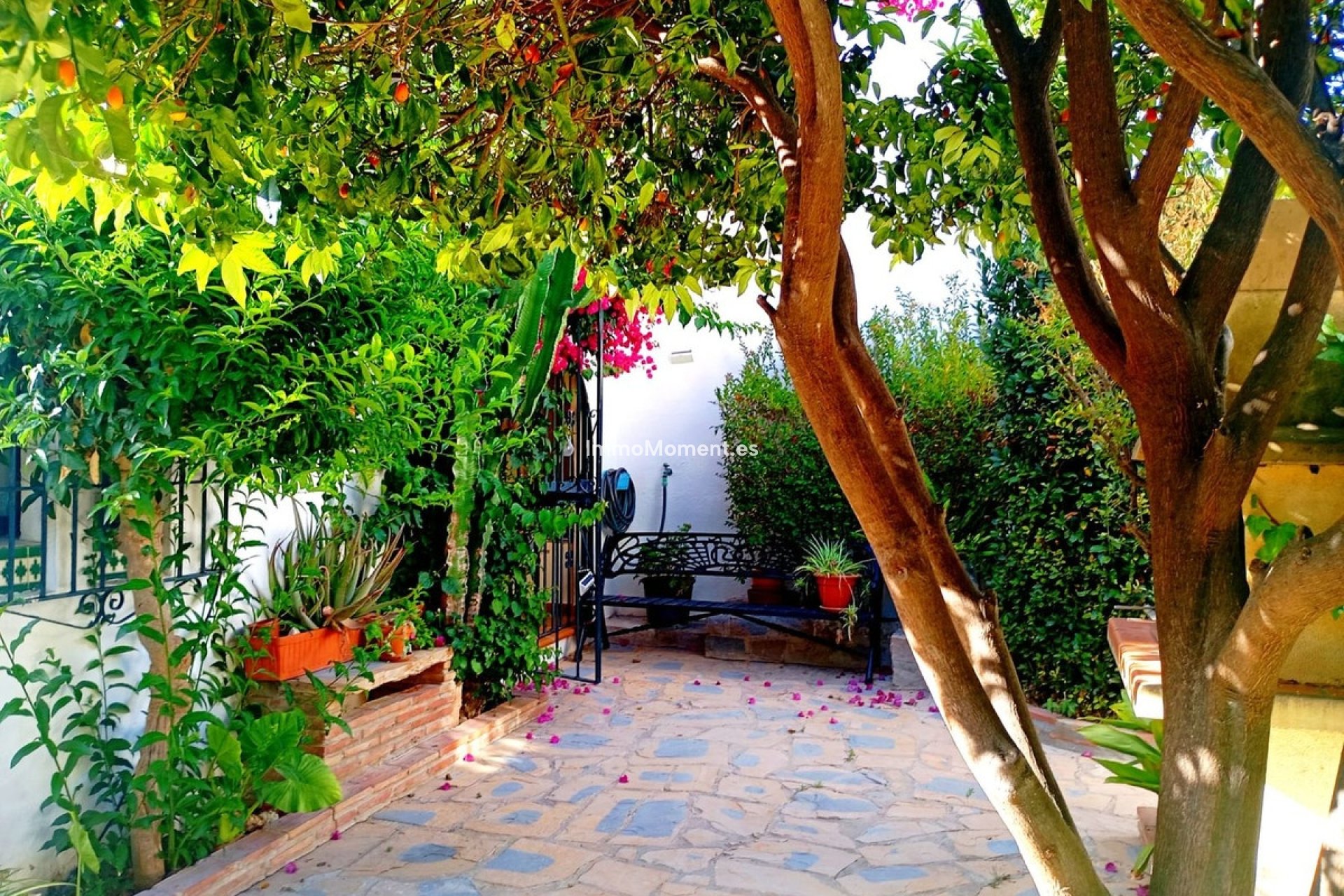 Reventa - Villa independiente - Casares - Casares Playa