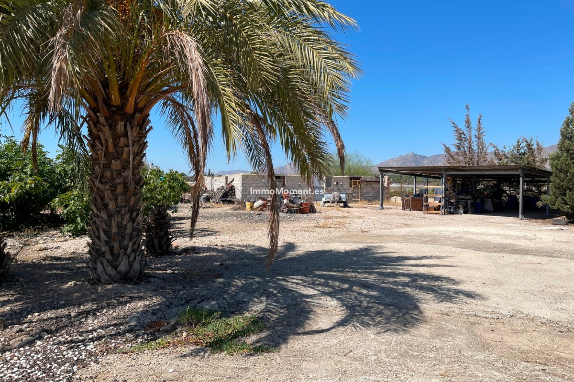 Reventa - Villa independiente - Crevillente - Crevillente - Crevillent Centro
