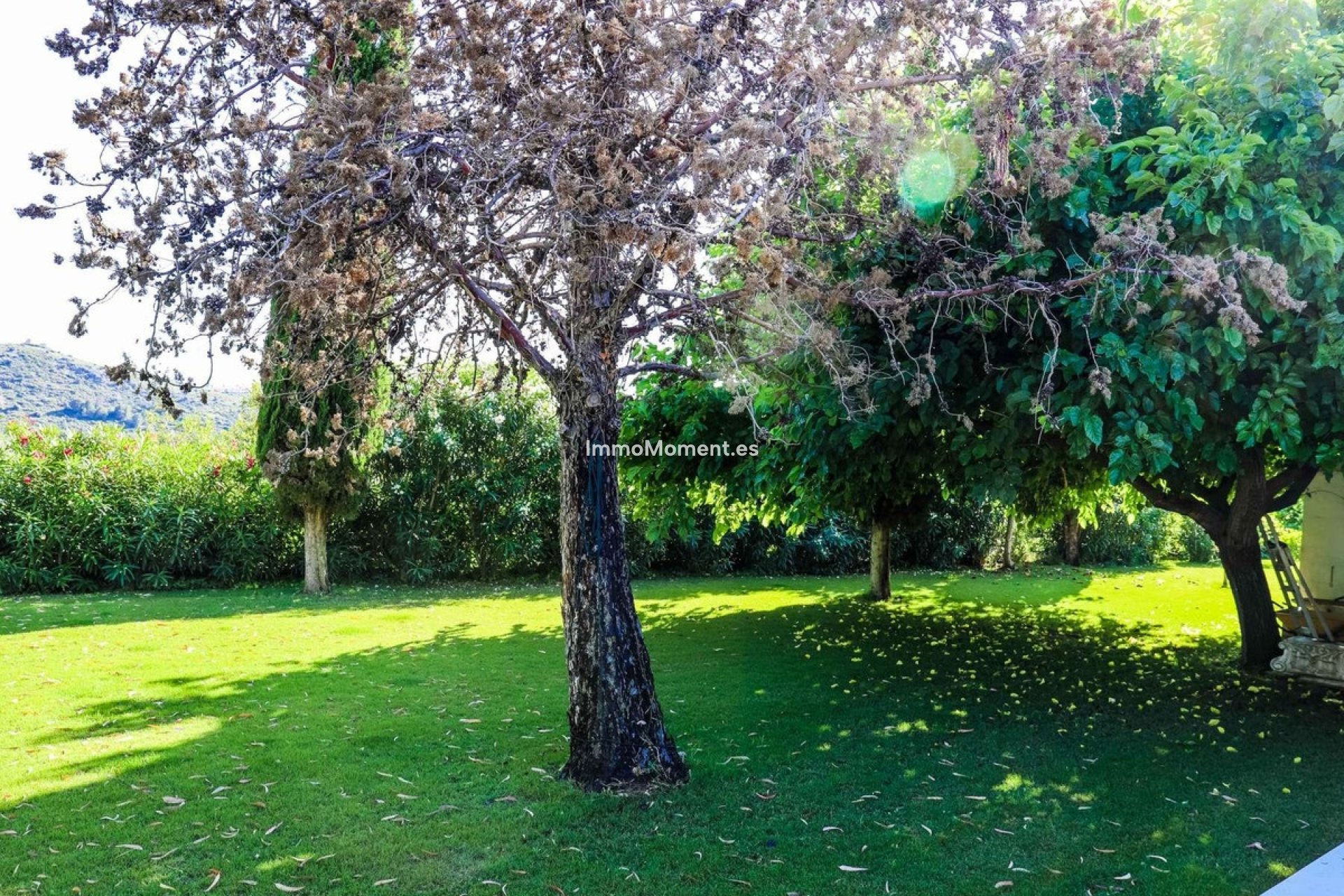 Reventa - Villa independiente - Denia - Jesús Pobre