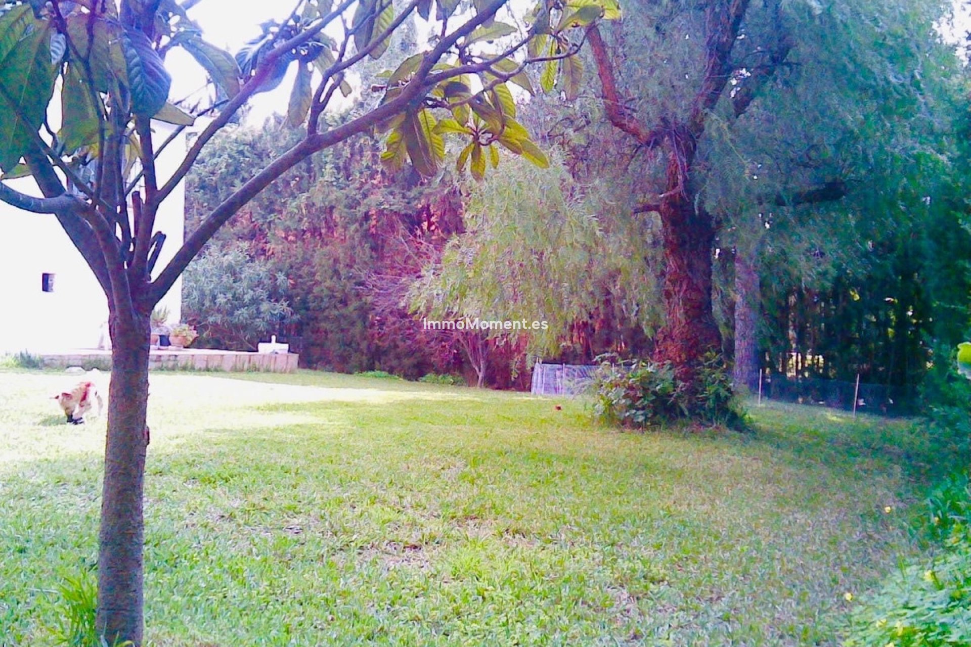 Reventa - Villa independiente - Estepona  - Atalaya