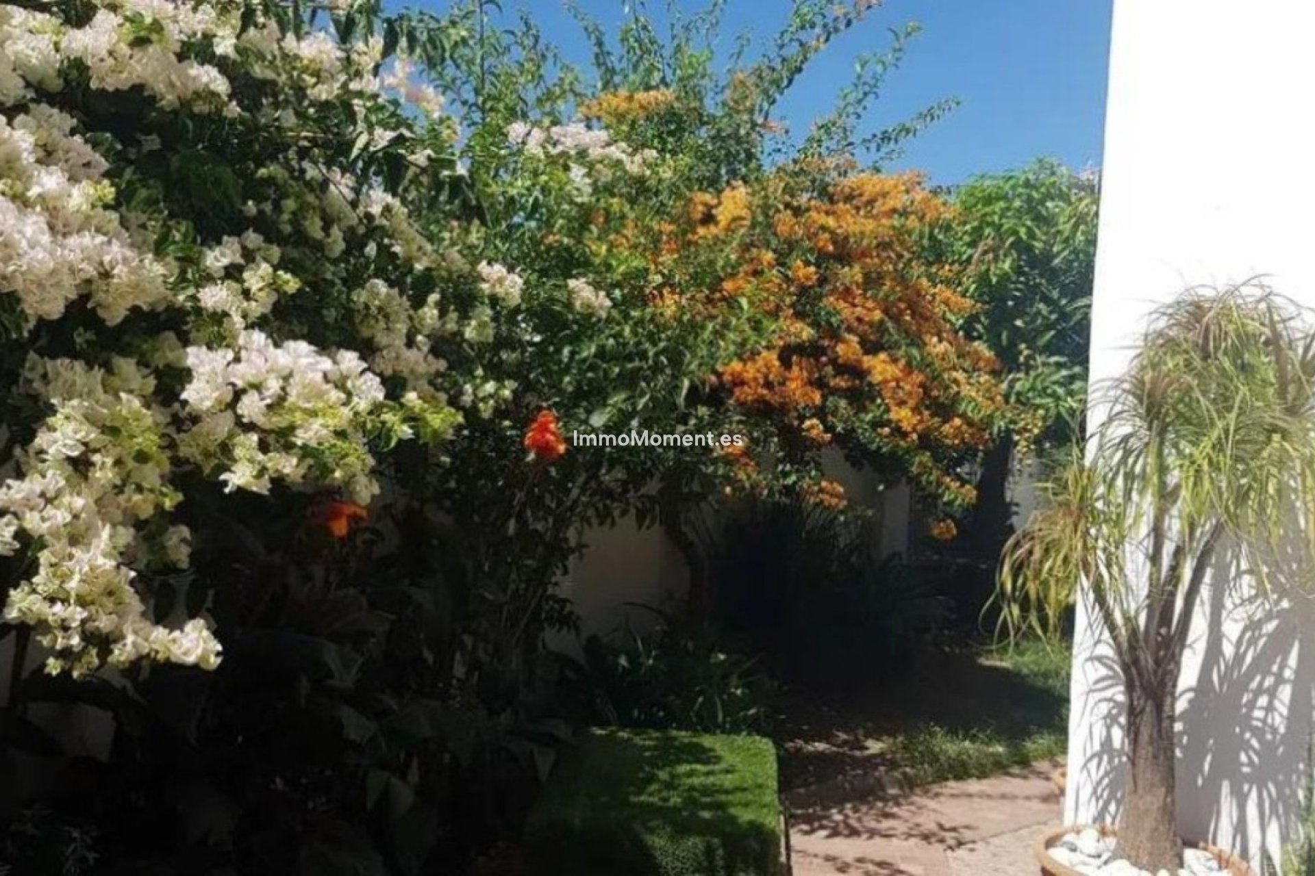 Reventa - Villa independiente - Estepona  - Estepona Centro