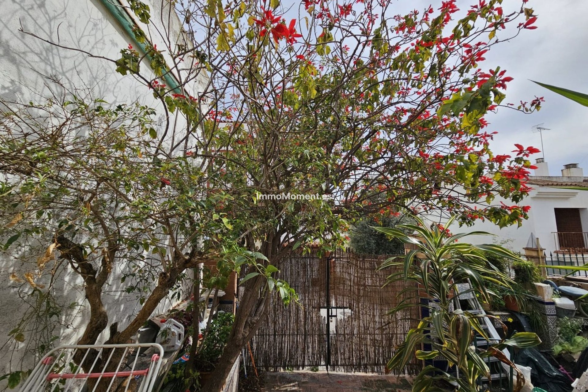 Reventa - Villa independiente - Estepona  - Estepona Centro