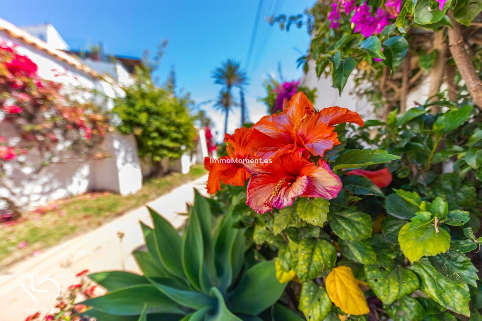 Reventa - Villa independiente - Estepona  - Estepona Centro