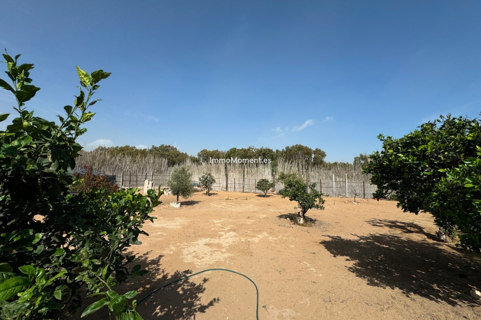 Reventa - Villa independiente - Guardamar del Segura - Guardamar del Segura Centro