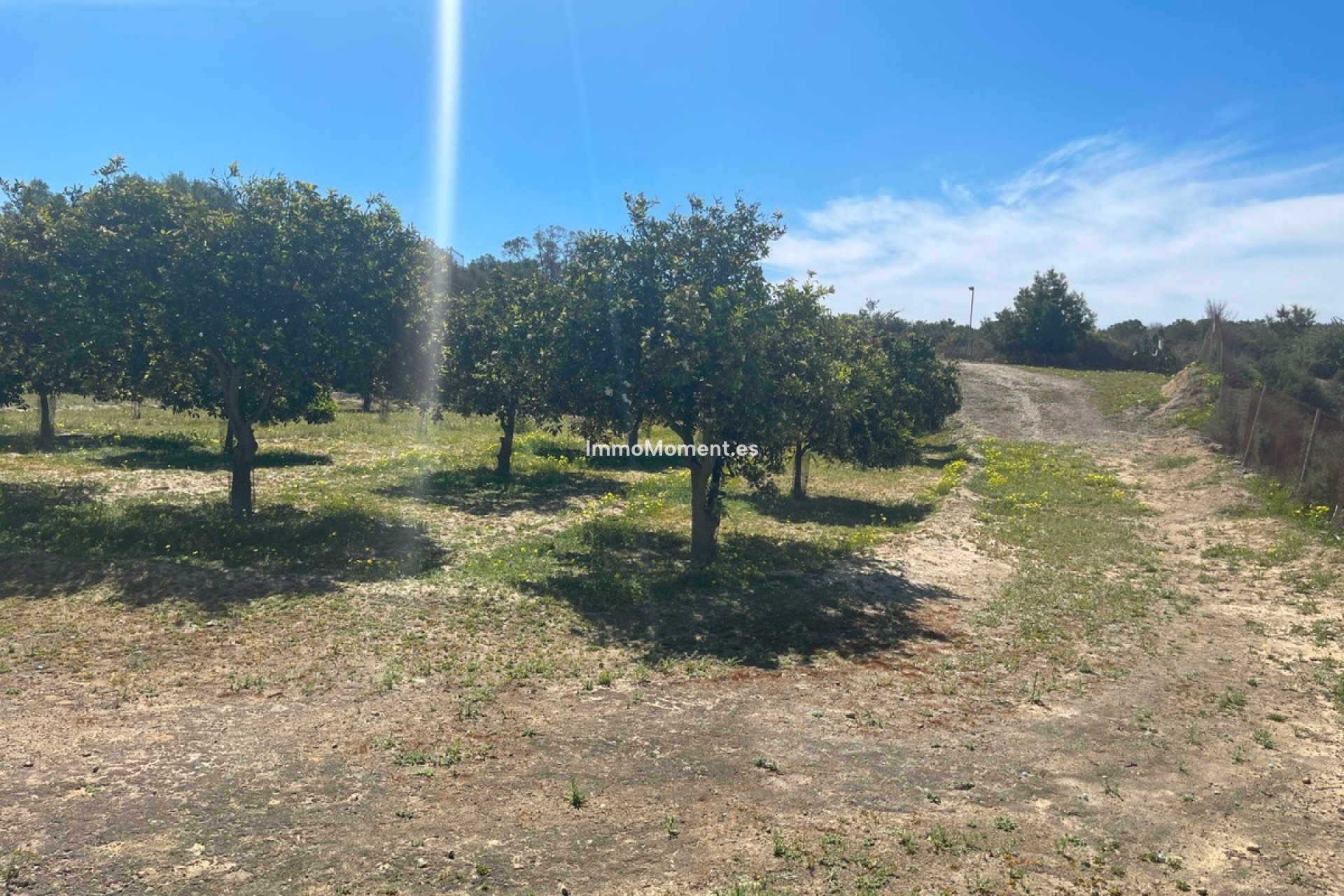 Reventa - Villa independiente - Guardamar del Segura - Guardamar del Segura Centro