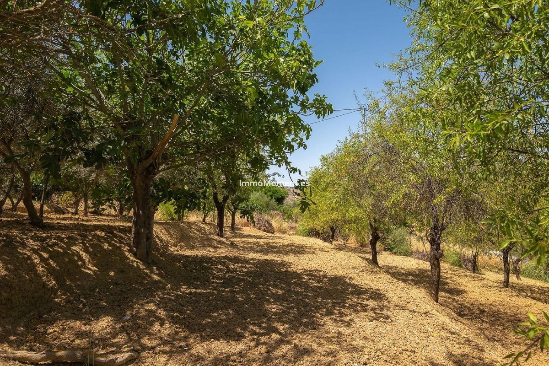 Reventa - Villa independiente - Interior  - Alhaurín el Grande Centro