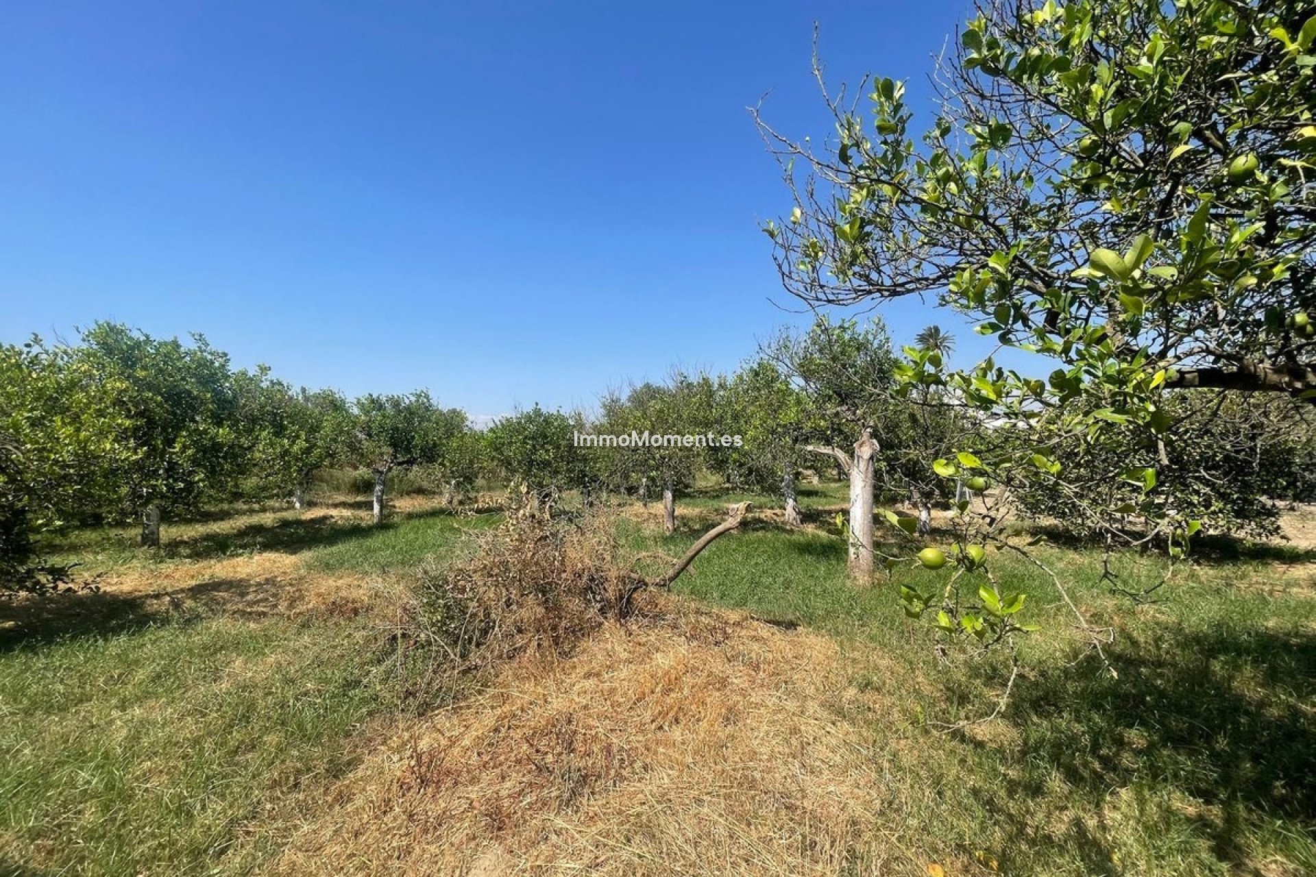 Reventa - Villa independiente - Interior  - Pizarra