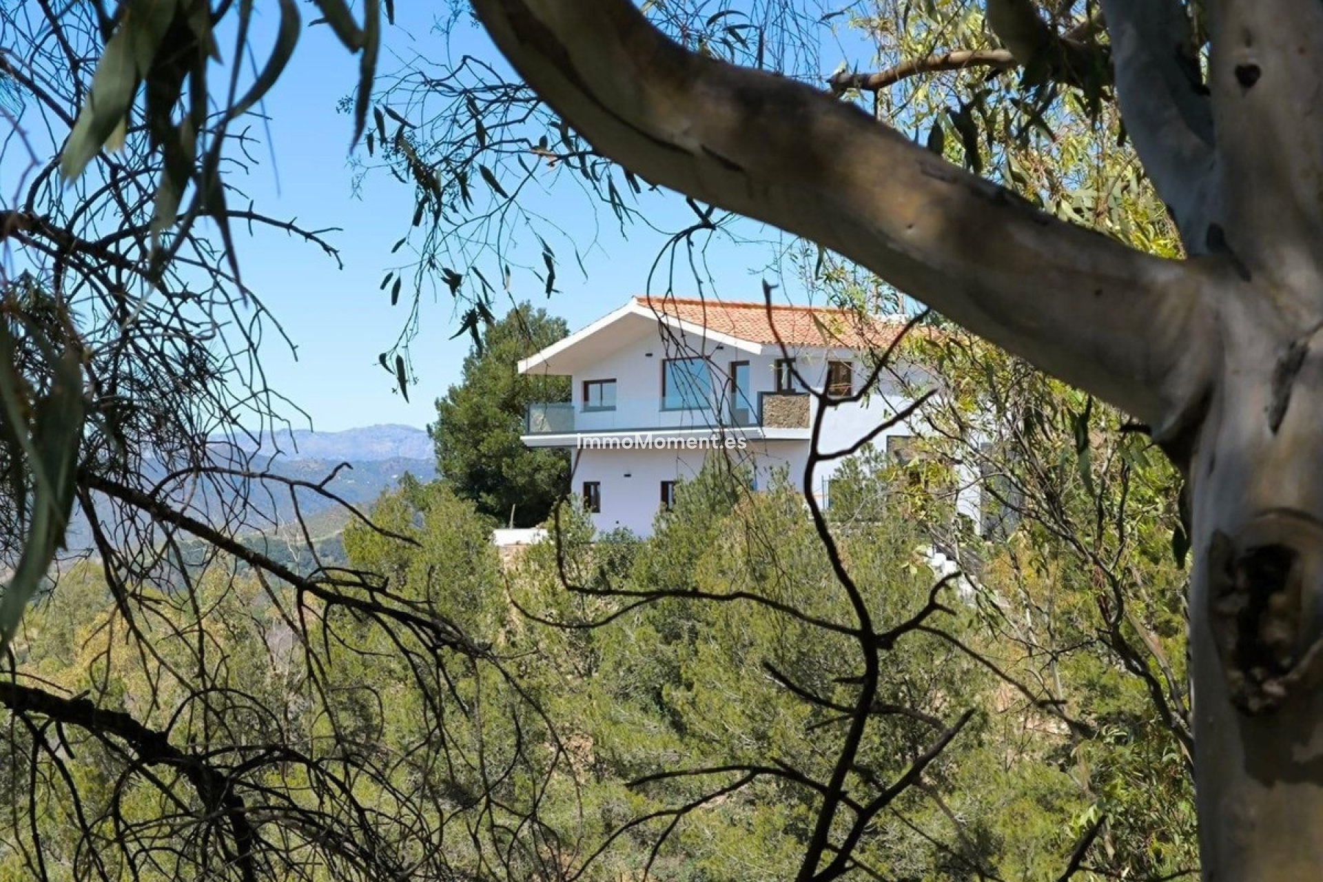 Reventa - Villa independiente - Málaga - Limonar