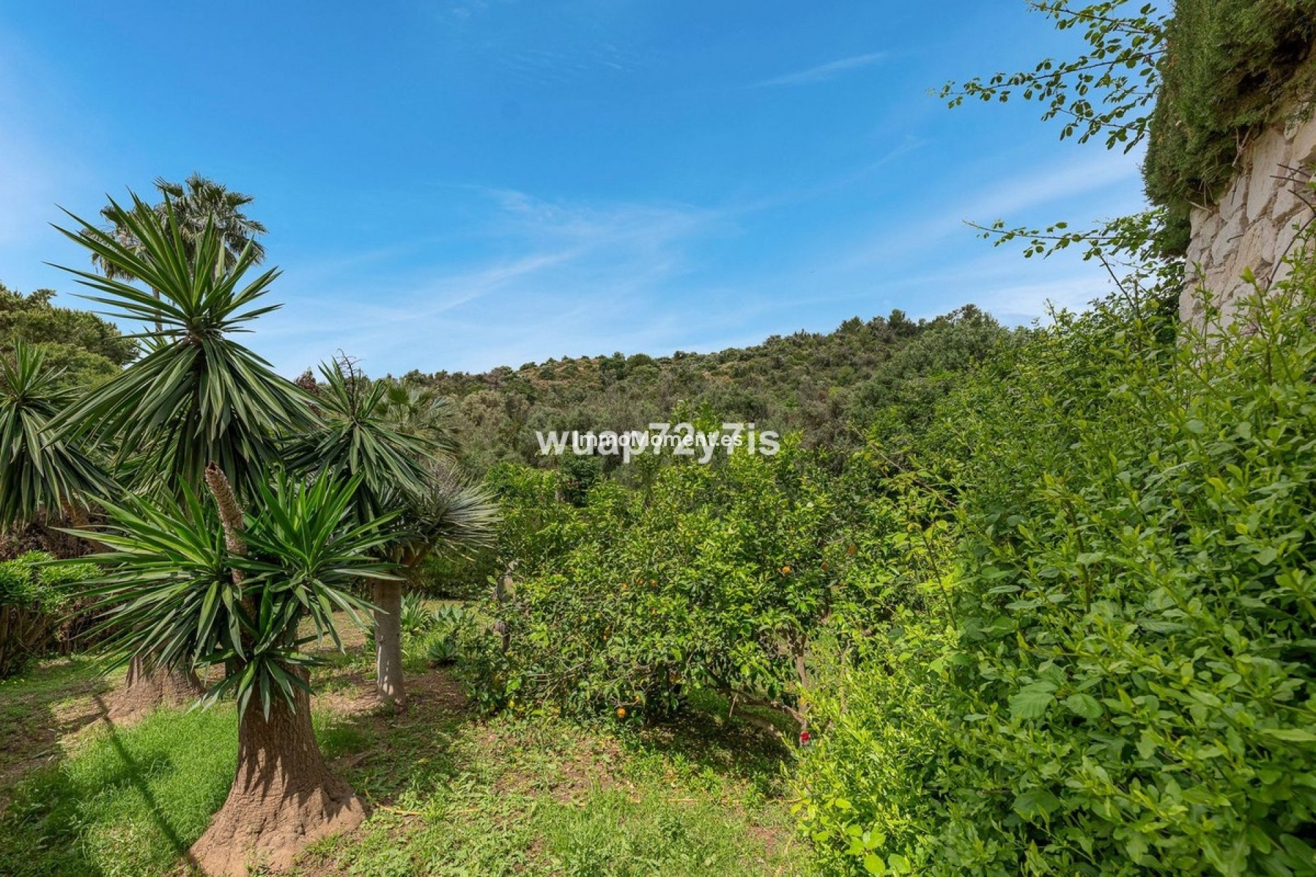 Reventa - Villa independiente - Marbella - El Rosario