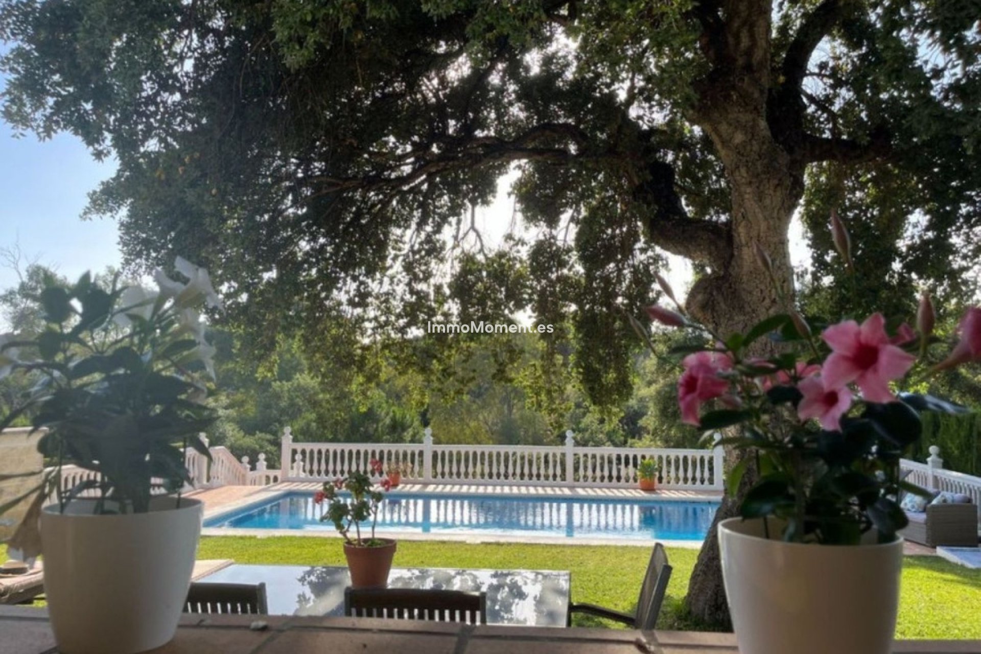 Reventa - Villa independiente - Marbella - Elviria