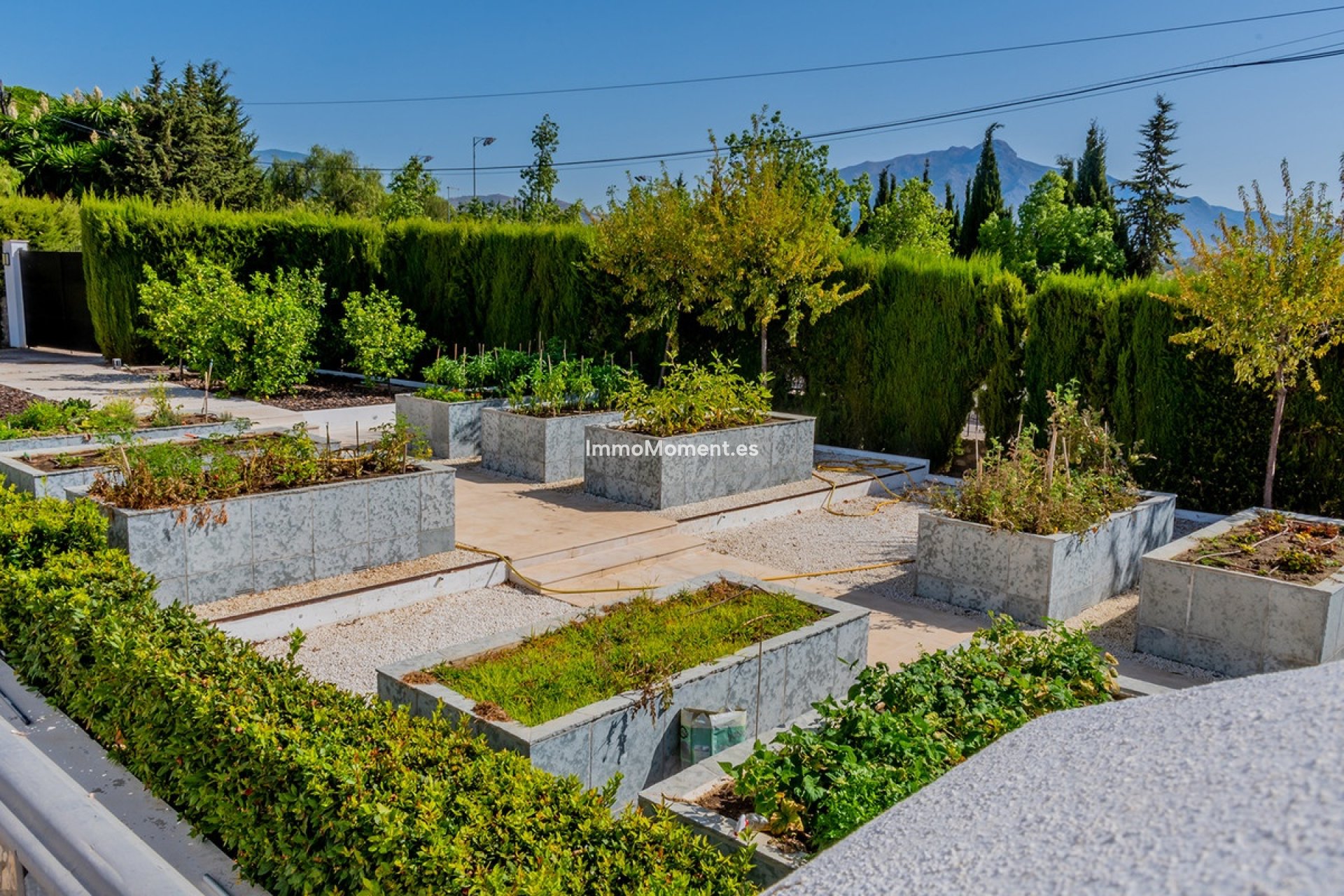 Reventa - Villa independiente - Marbella - Guadalmina Alta
