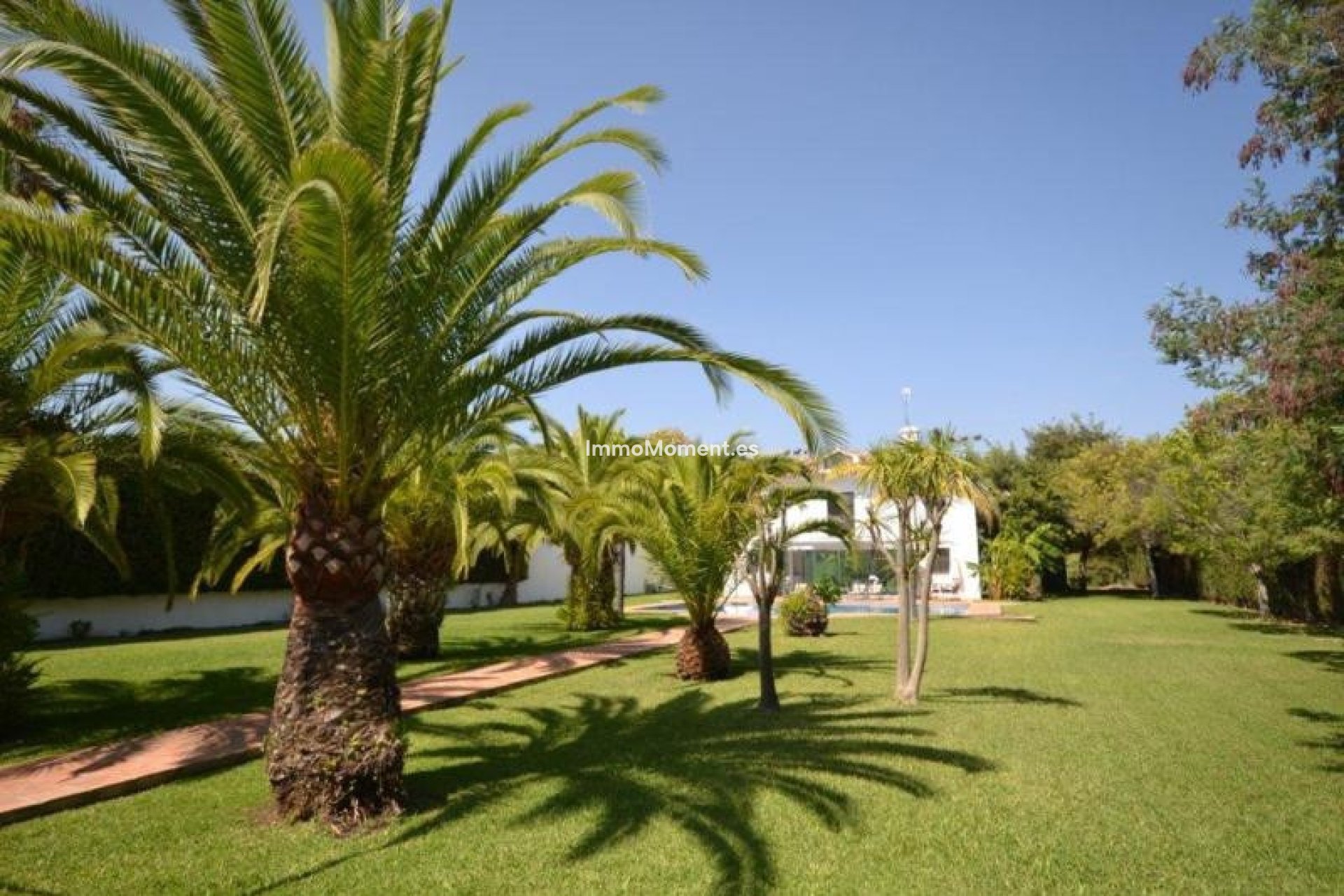 Reventa - Villa independiente - Marbella - Guadalmina Baja