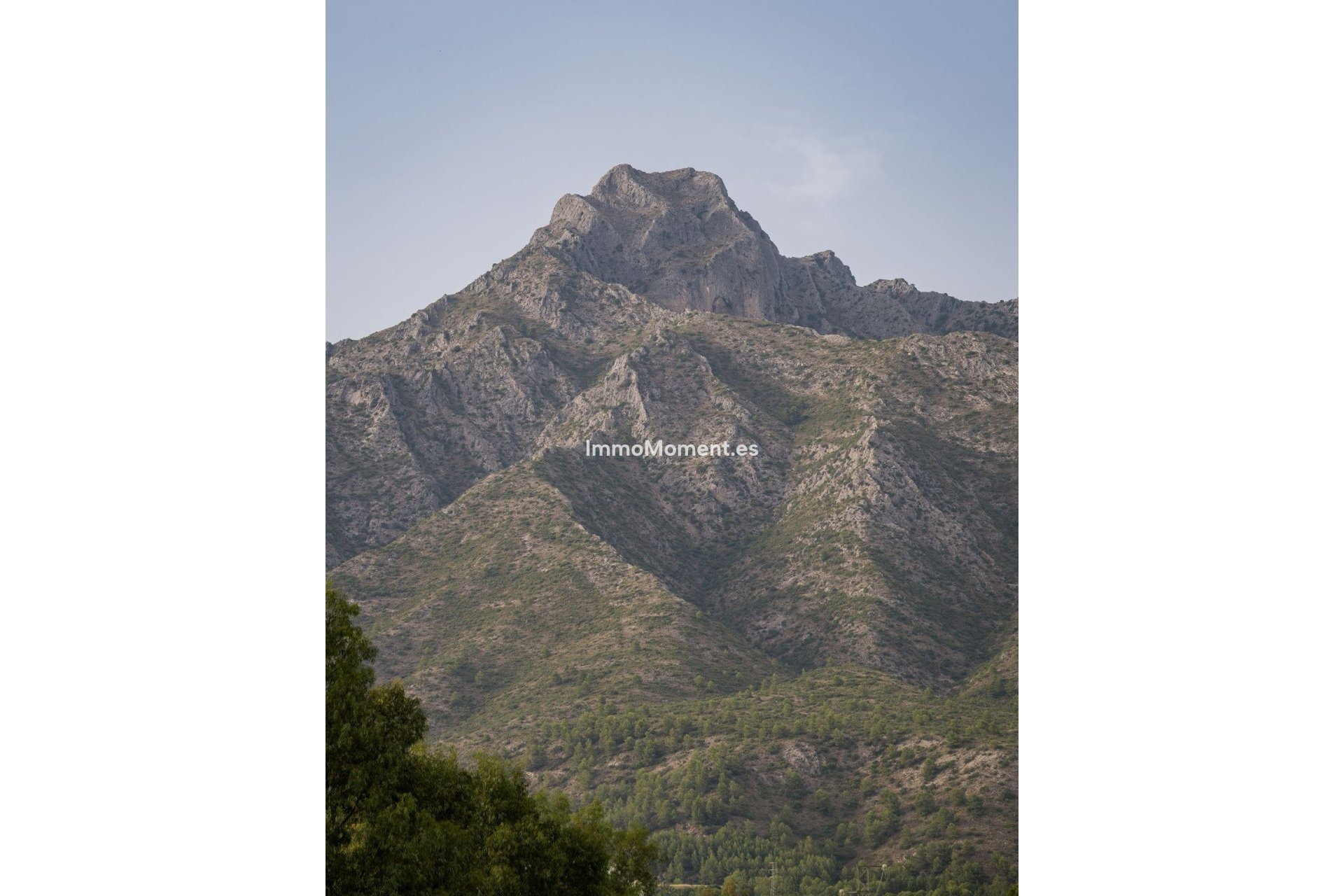 Reventa - Villa independiente - Marbella - Marbella Centro