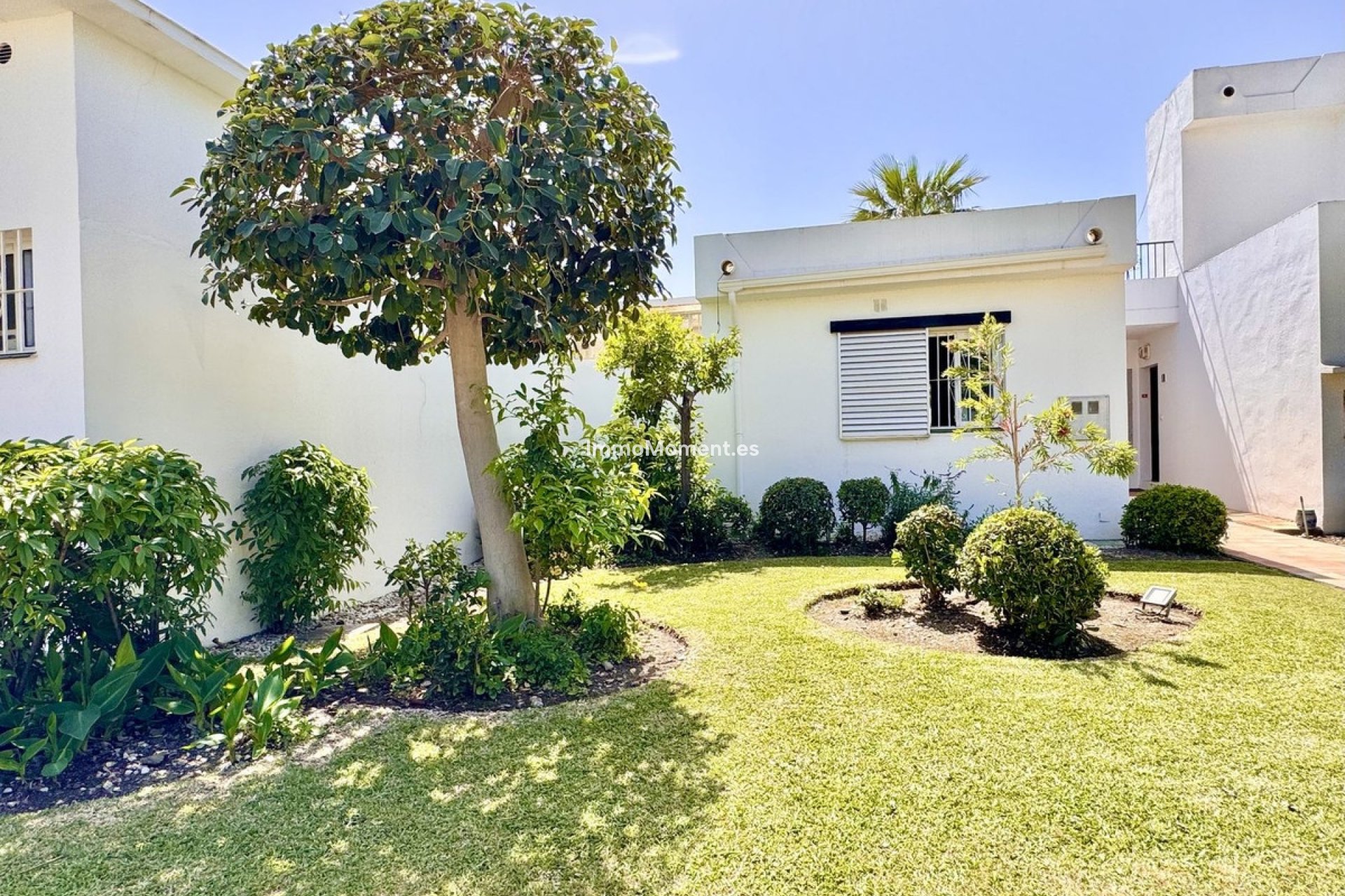 Reventa - Villa independiente - Marbella - Nueva Andalucía