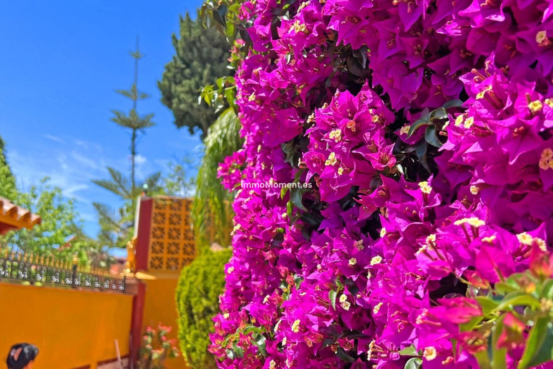 Reventa - Villa independiente - Marbella - Reserva de Marbella