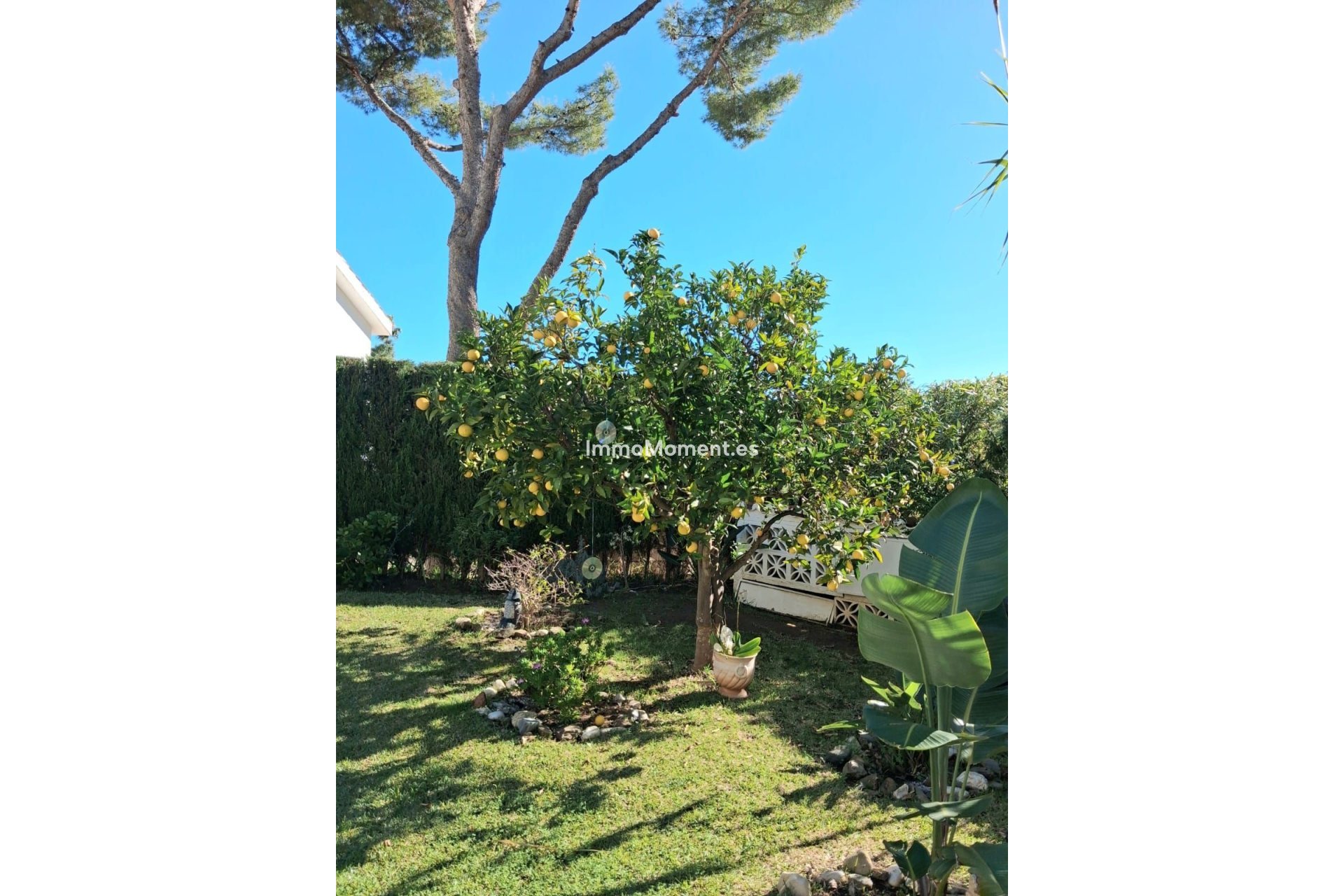 Reventa - Villa independiente - Mijas - Calahonda