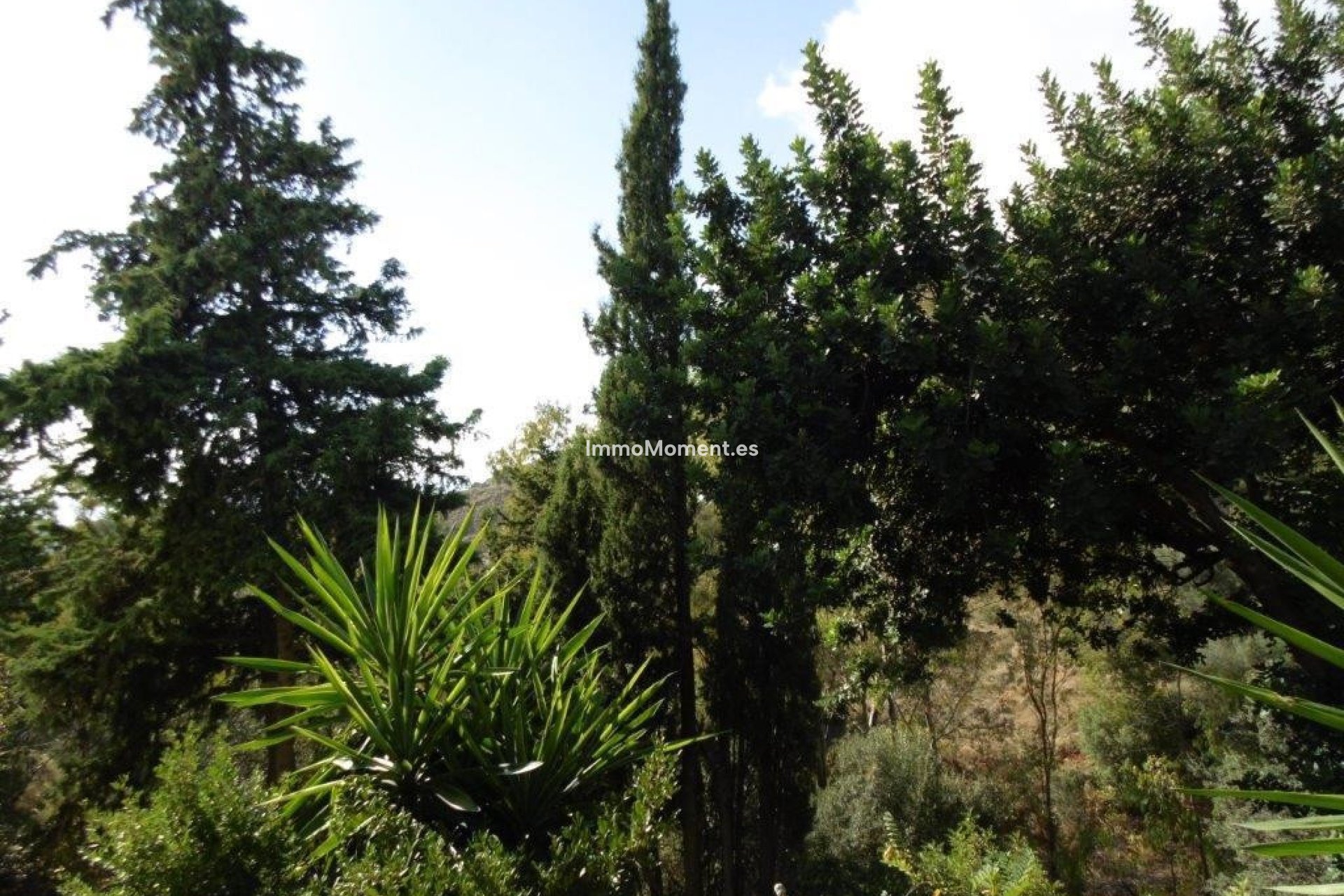 Reventa - Villa independiente - Mijas - Mijas Centro