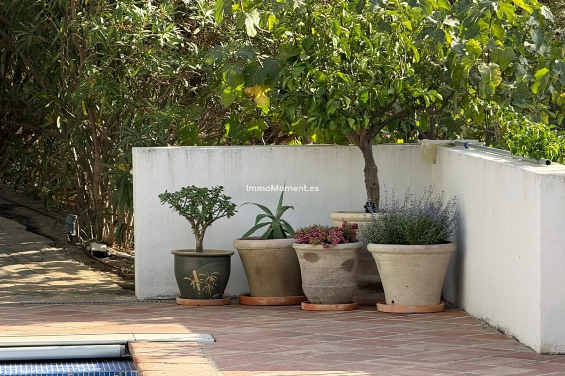 Reventa - Villa independiente - Mijas - Mijas Centro