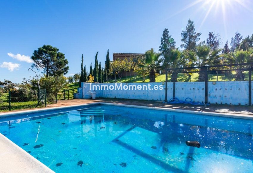 Reventa - Villa independiente - Mijas - Mijas Centro