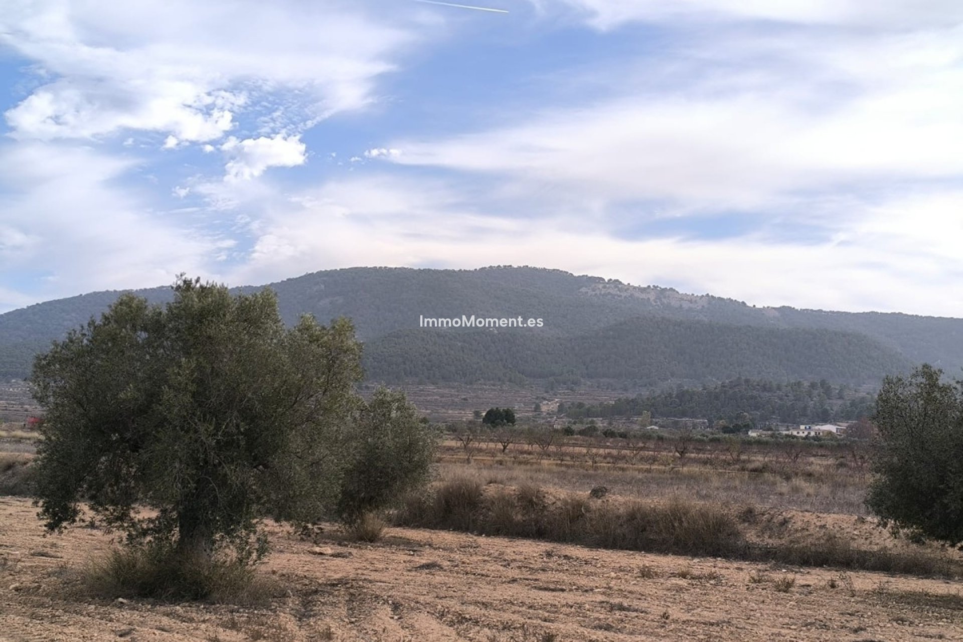 Reventa - Villa independiente - Monóvar - Monòver - Monóvar - Monòver Centro