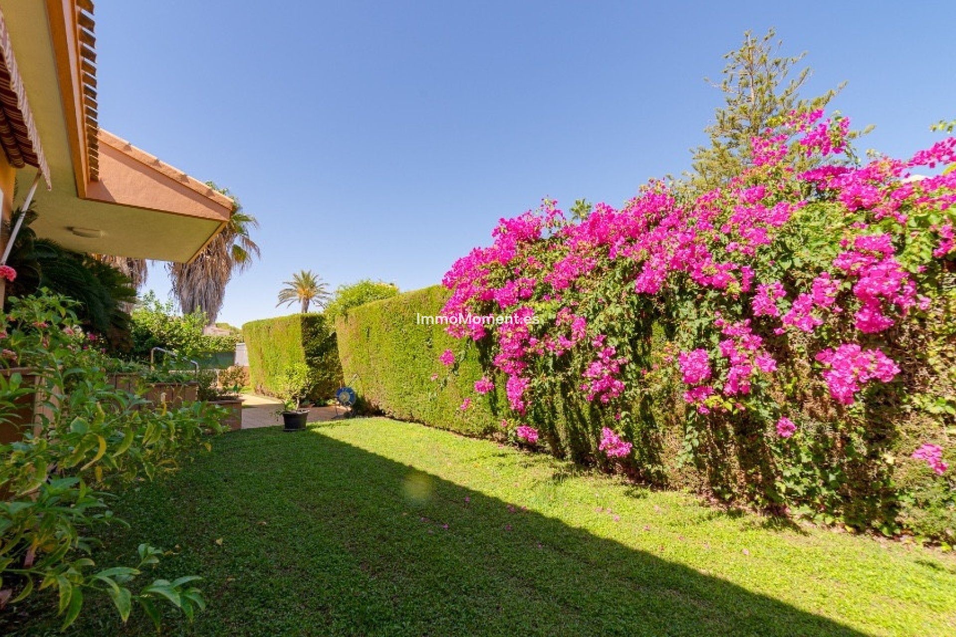Reventa - Villa independiente - Orihuela - Campoamor