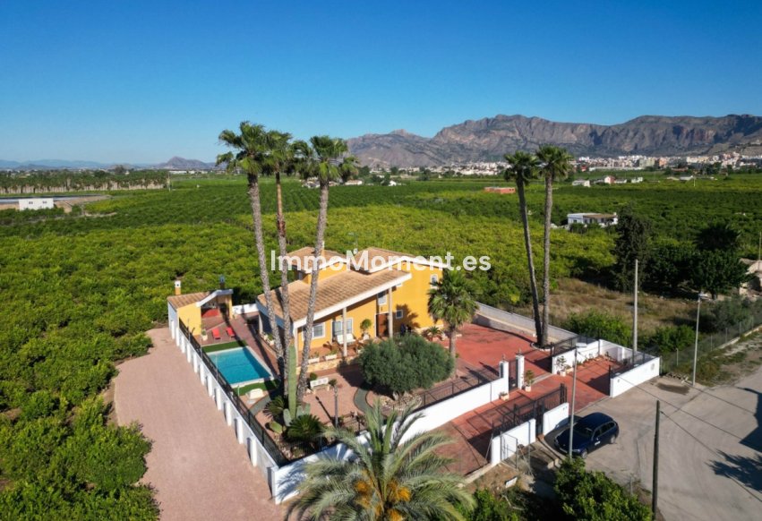 Reventa - Villa independiente - Orihuela - Orihuela Centro