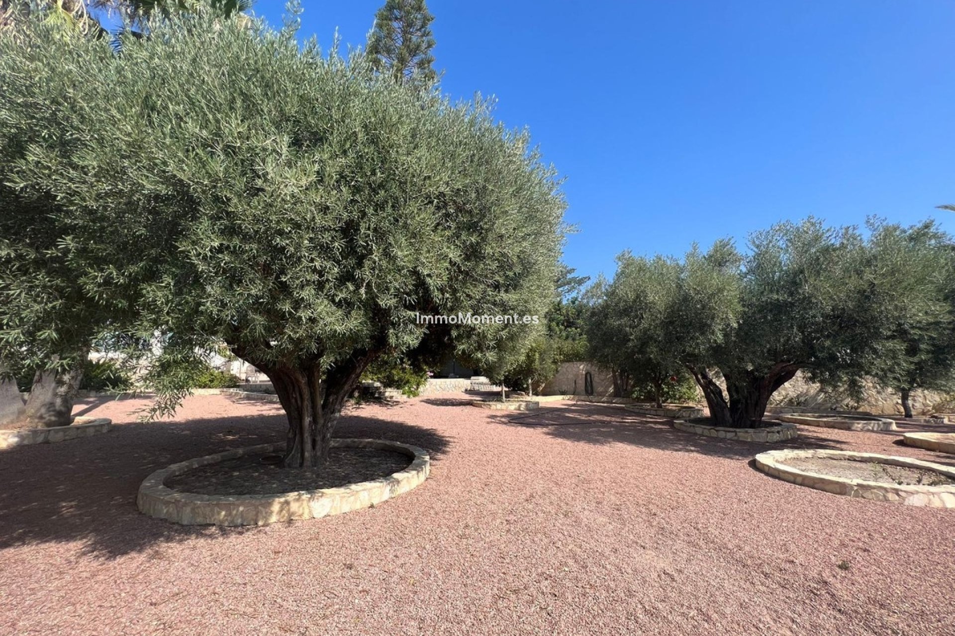 Reventa - Villa independiente - Rojales - Ciudad Quesada