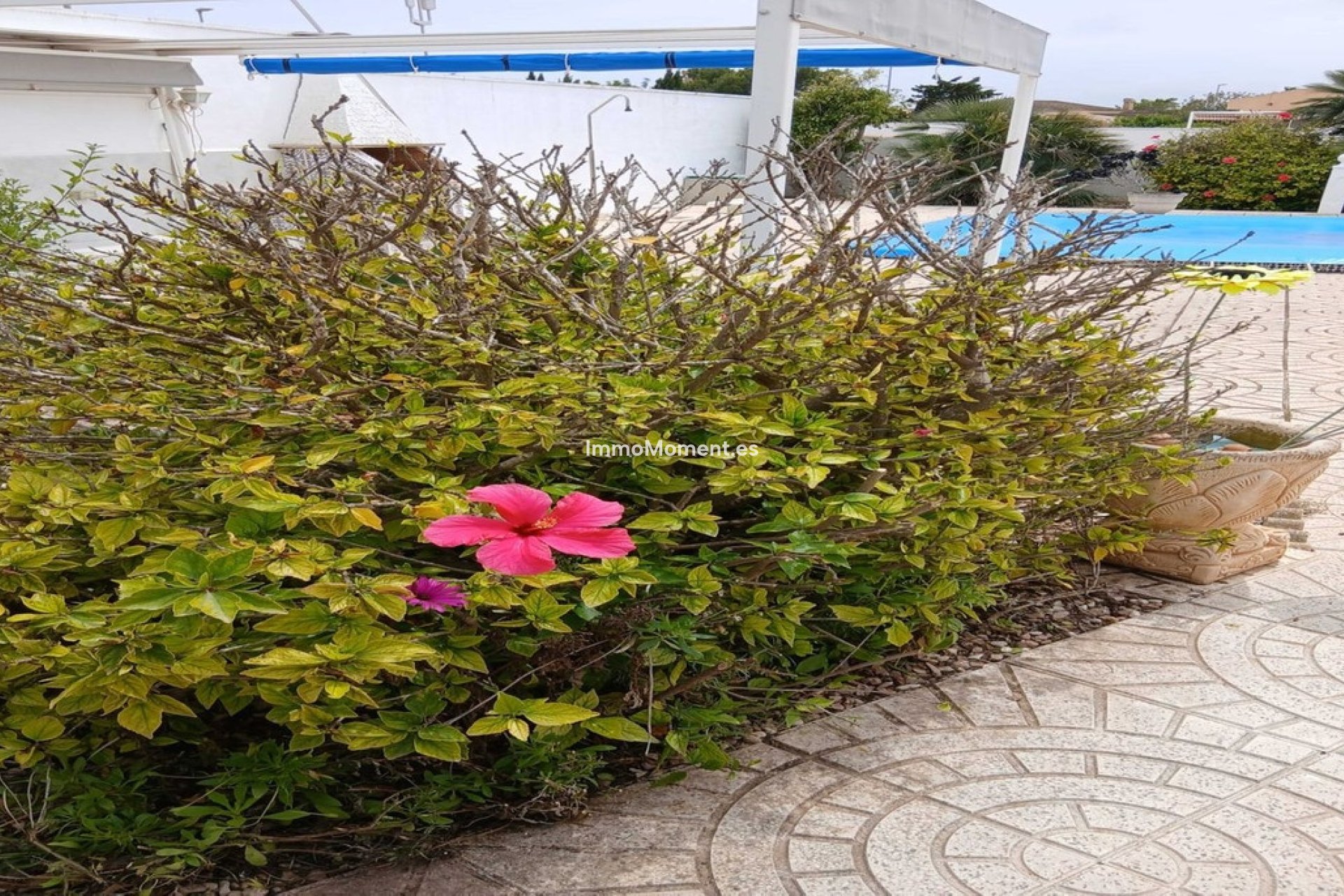 Reventa - Villa independiente - San Fulgencio - La Marina