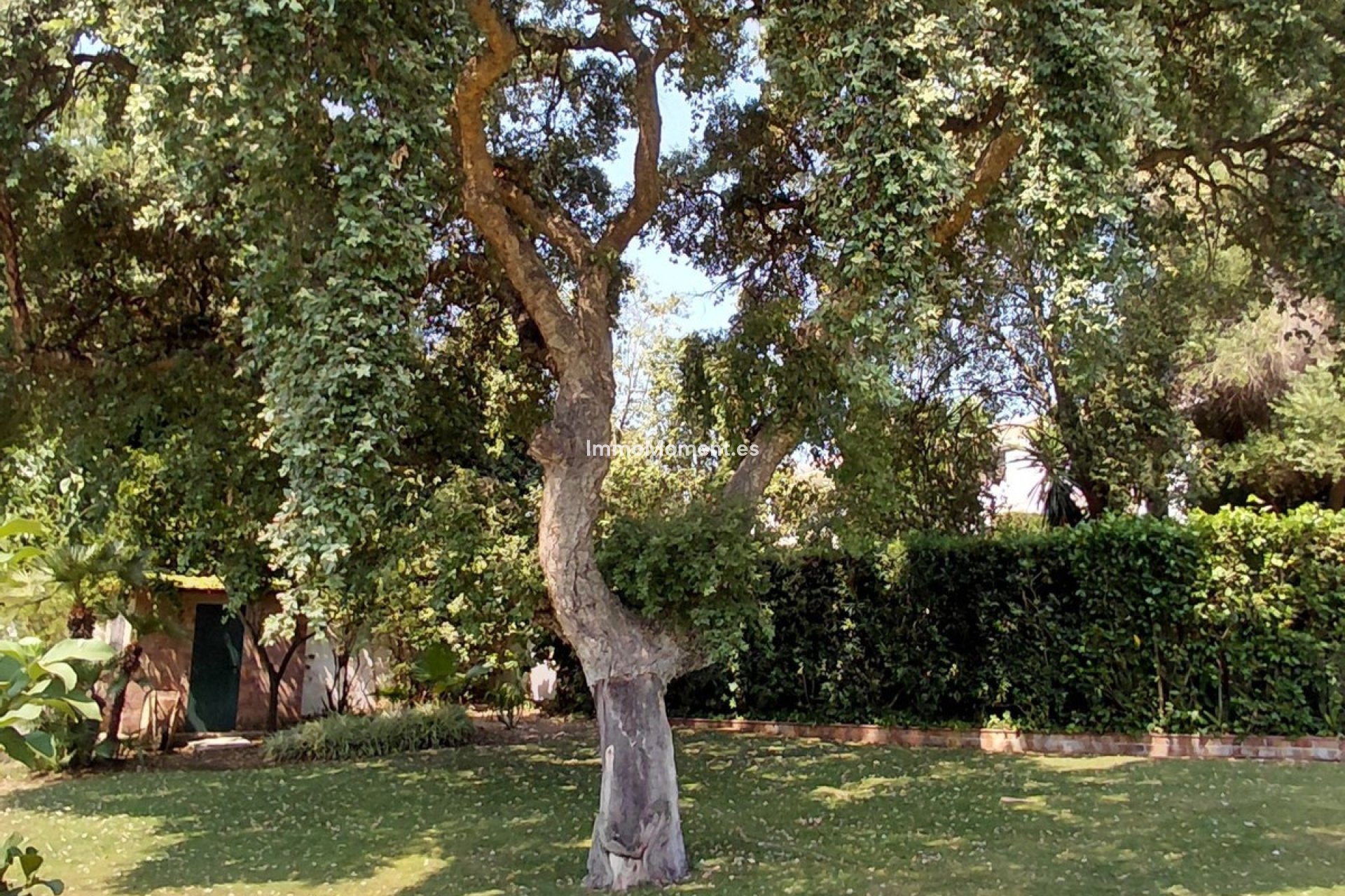 Reventa - Villa independiente - Sotogrande - Sotogrande Costa