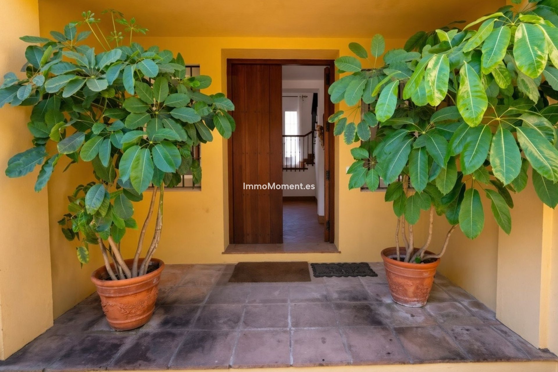 Reventa - Villa independiente - Sotogrande - Sotogrande Costa