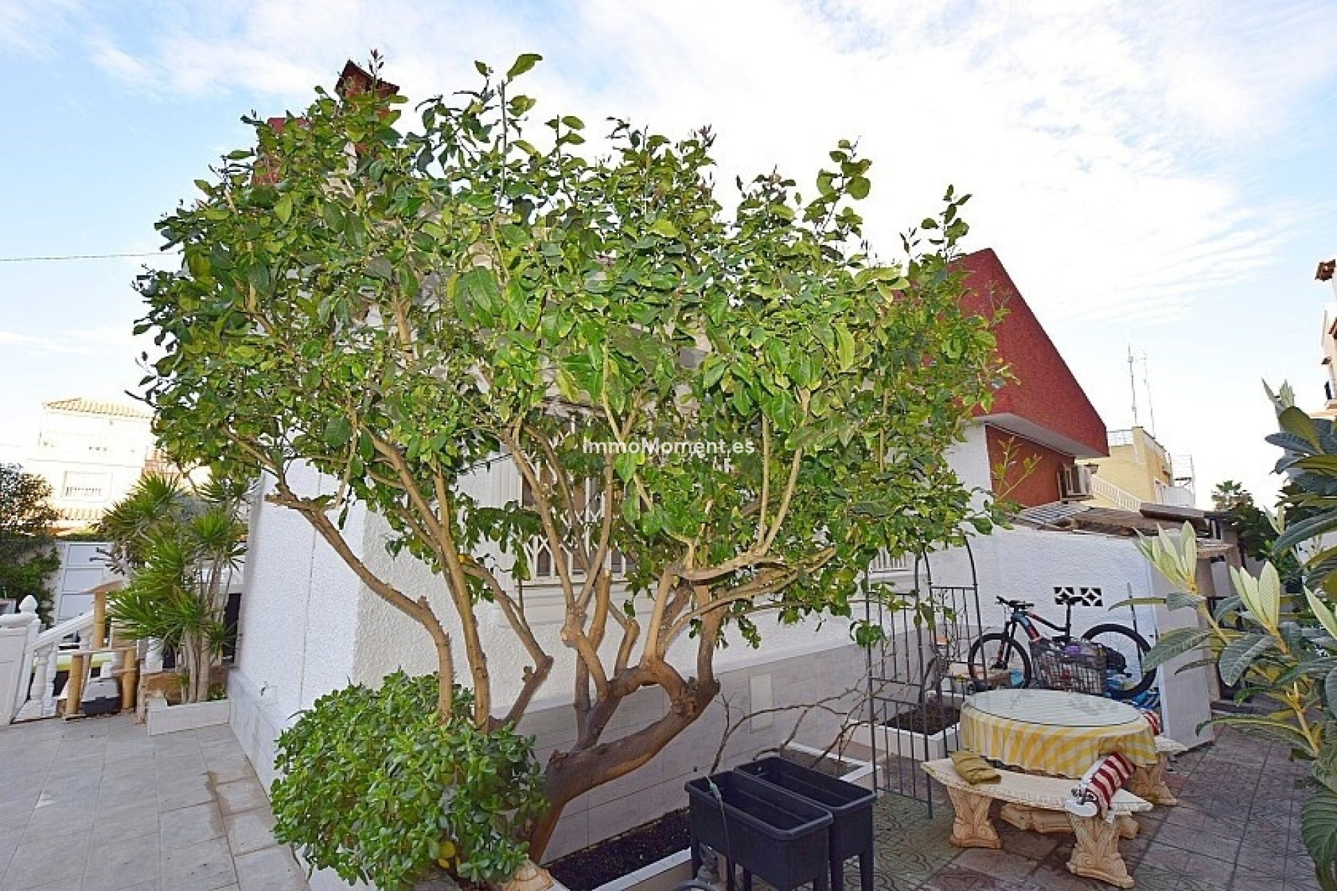 Reventa - Villa independiente - Torrevieja - Torrevieja Centro