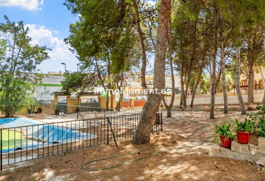 Reventa - Villa independiente - Torrevieja - Torrevieja Centro