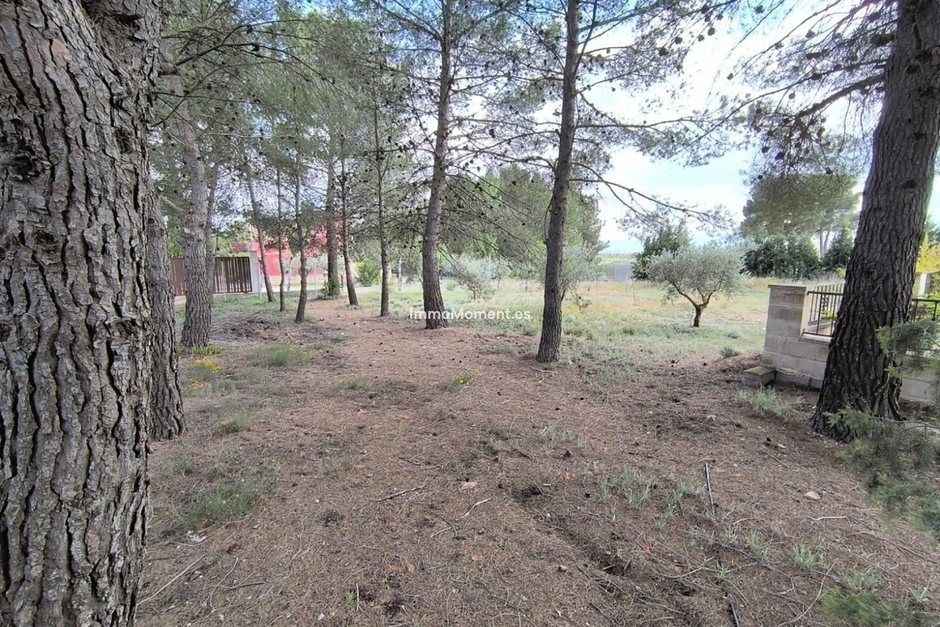 Reventa - Villa independiente - Yecla - Yecla Centro