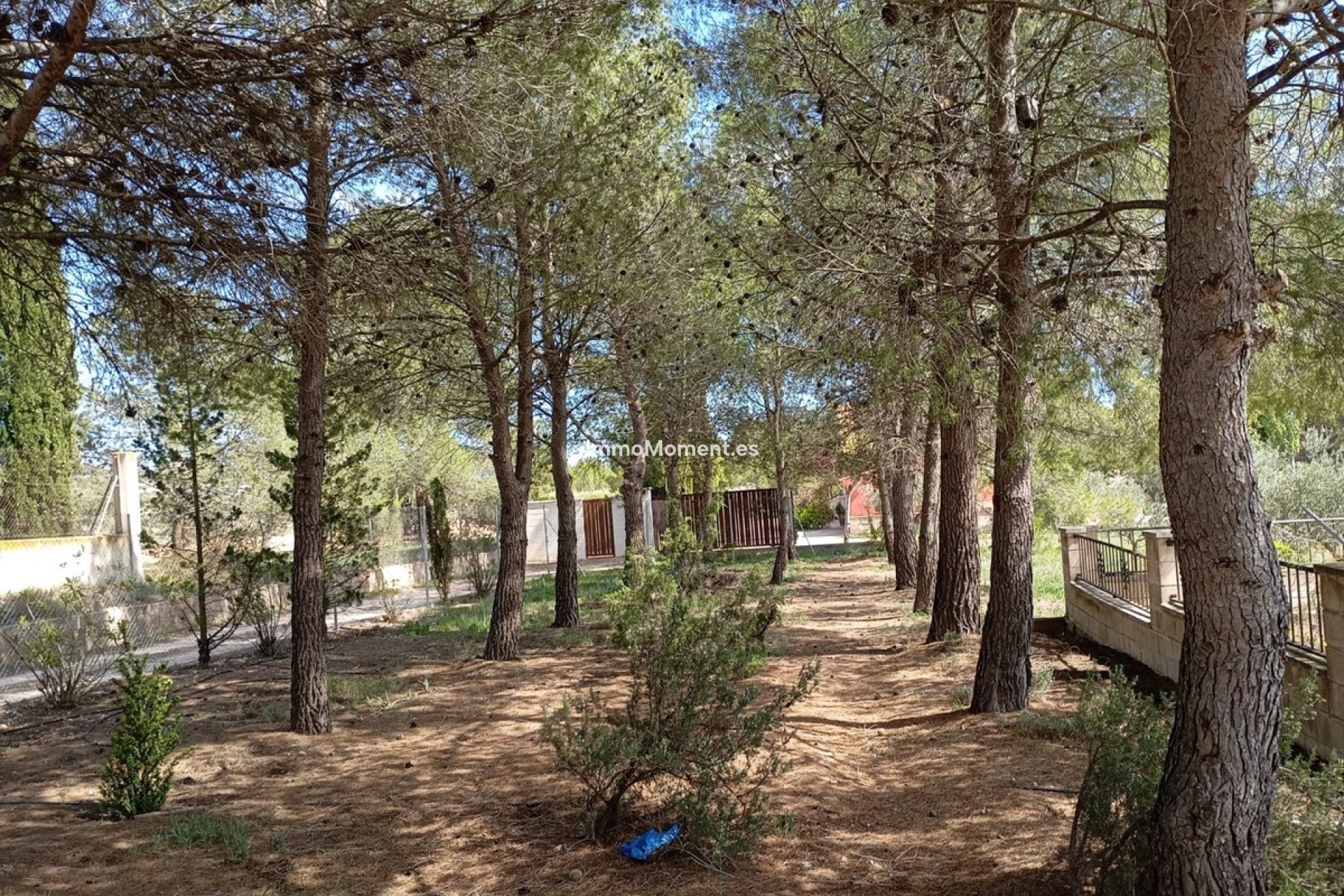 Reventa - Villa independiente - Yecla - Yecla Centro