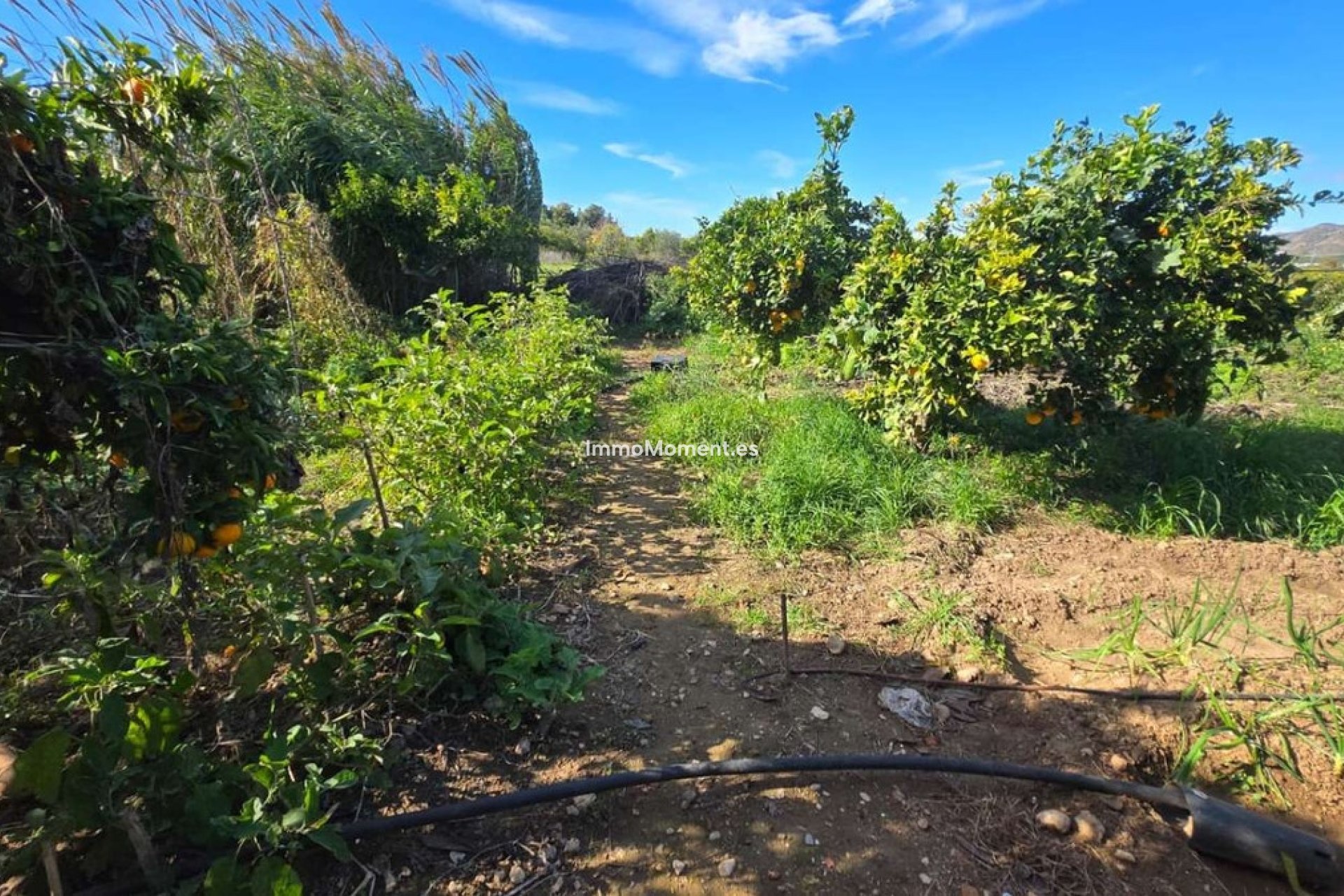 Reventa - Villa - Interior  - Alhaurín de la Torre