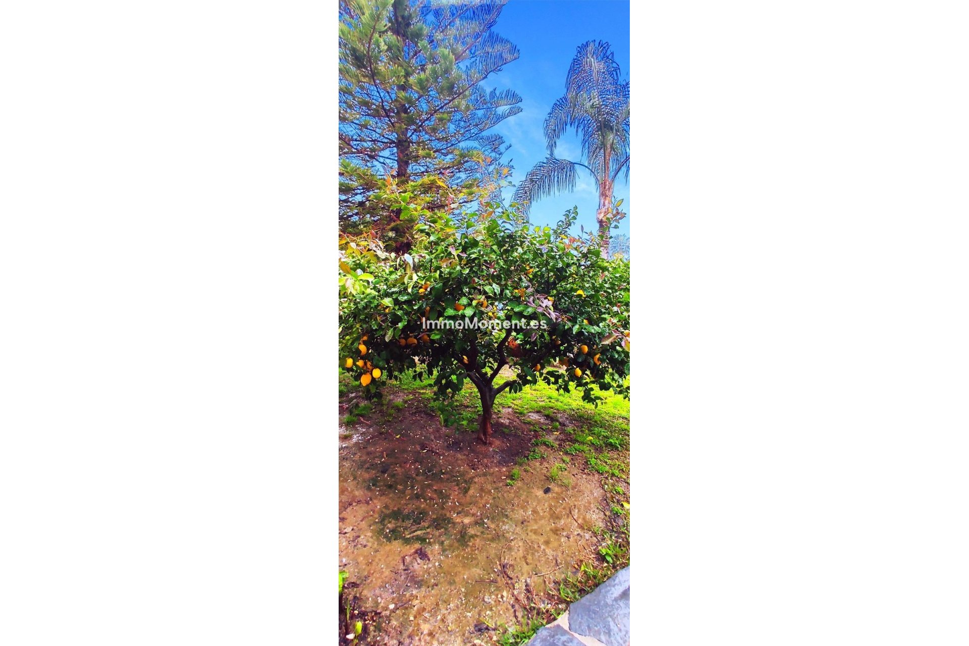 Reventa - Villa - Interior  - Alhaurín el Grande Centro