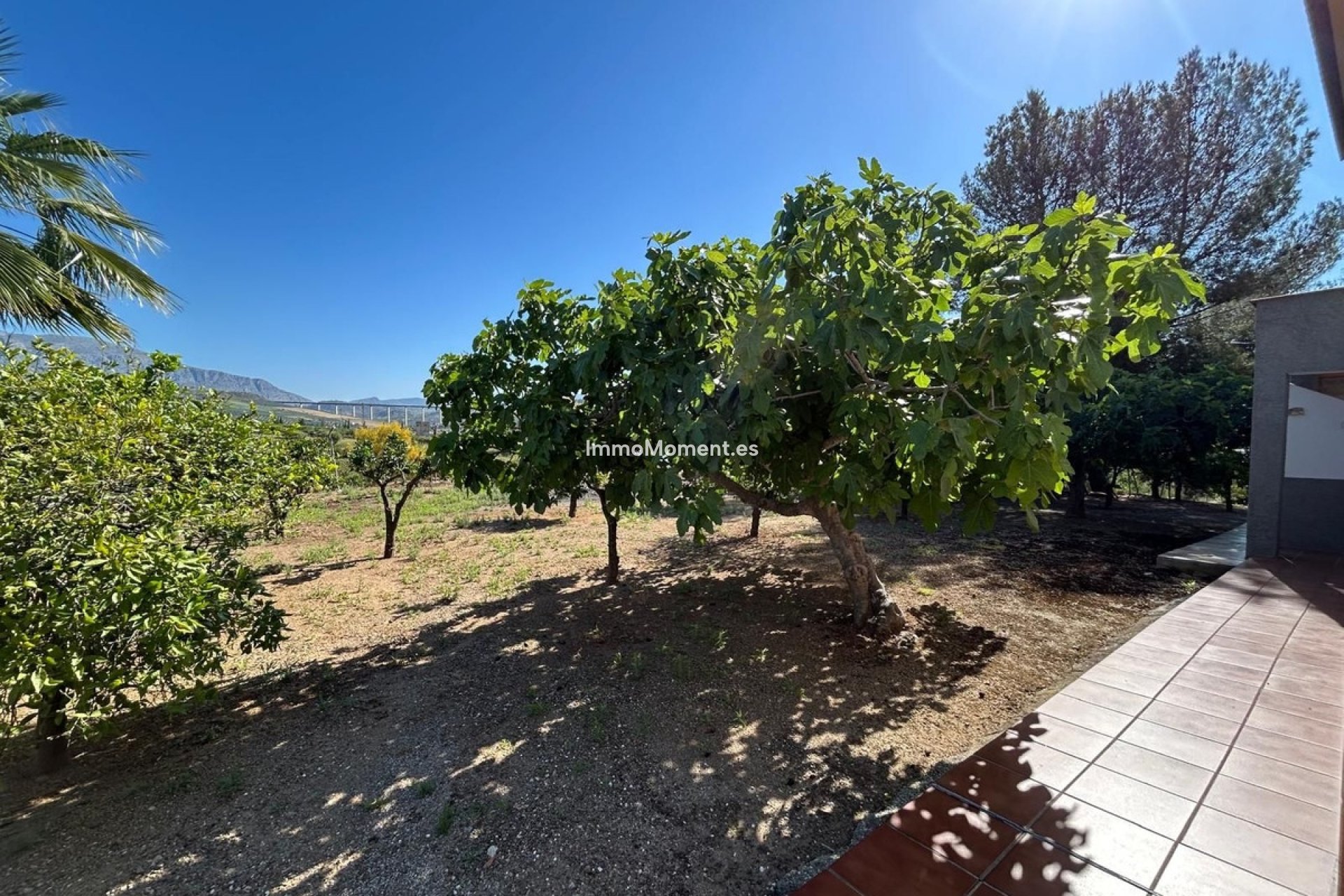 Reventa - Villa - Interior  - Alora