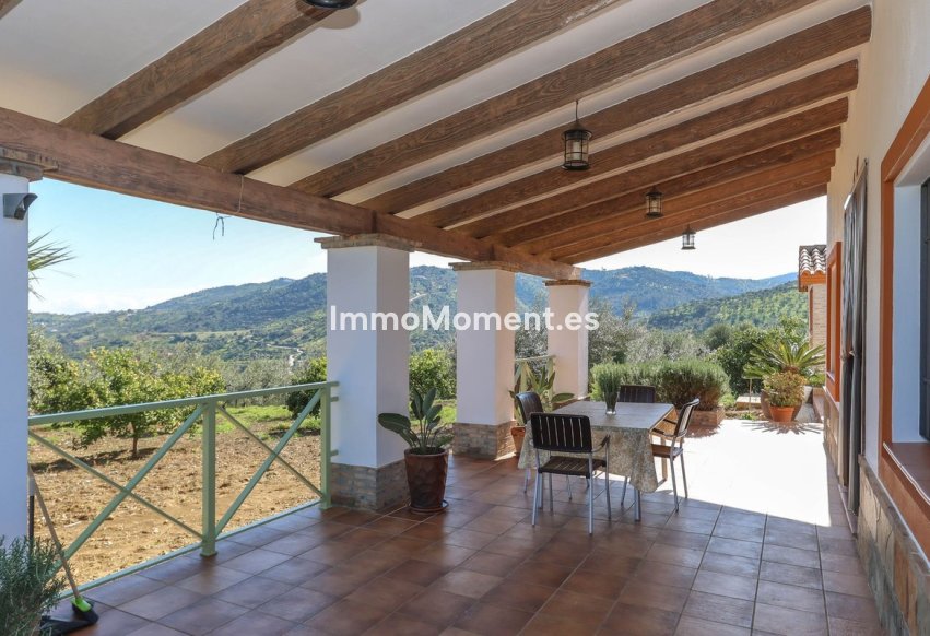 Reventa - Villa - Interior  - Guaro