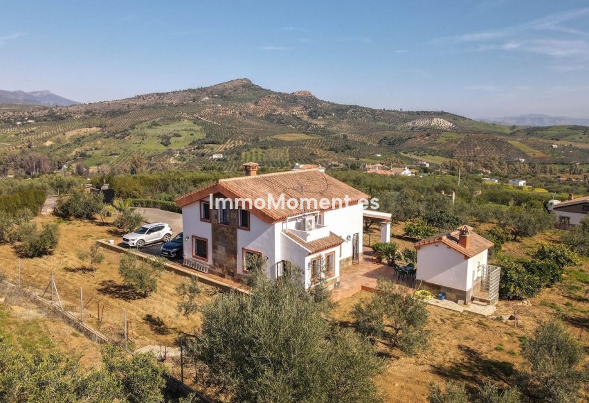 Reventa - Villa - Interior  - Guaro