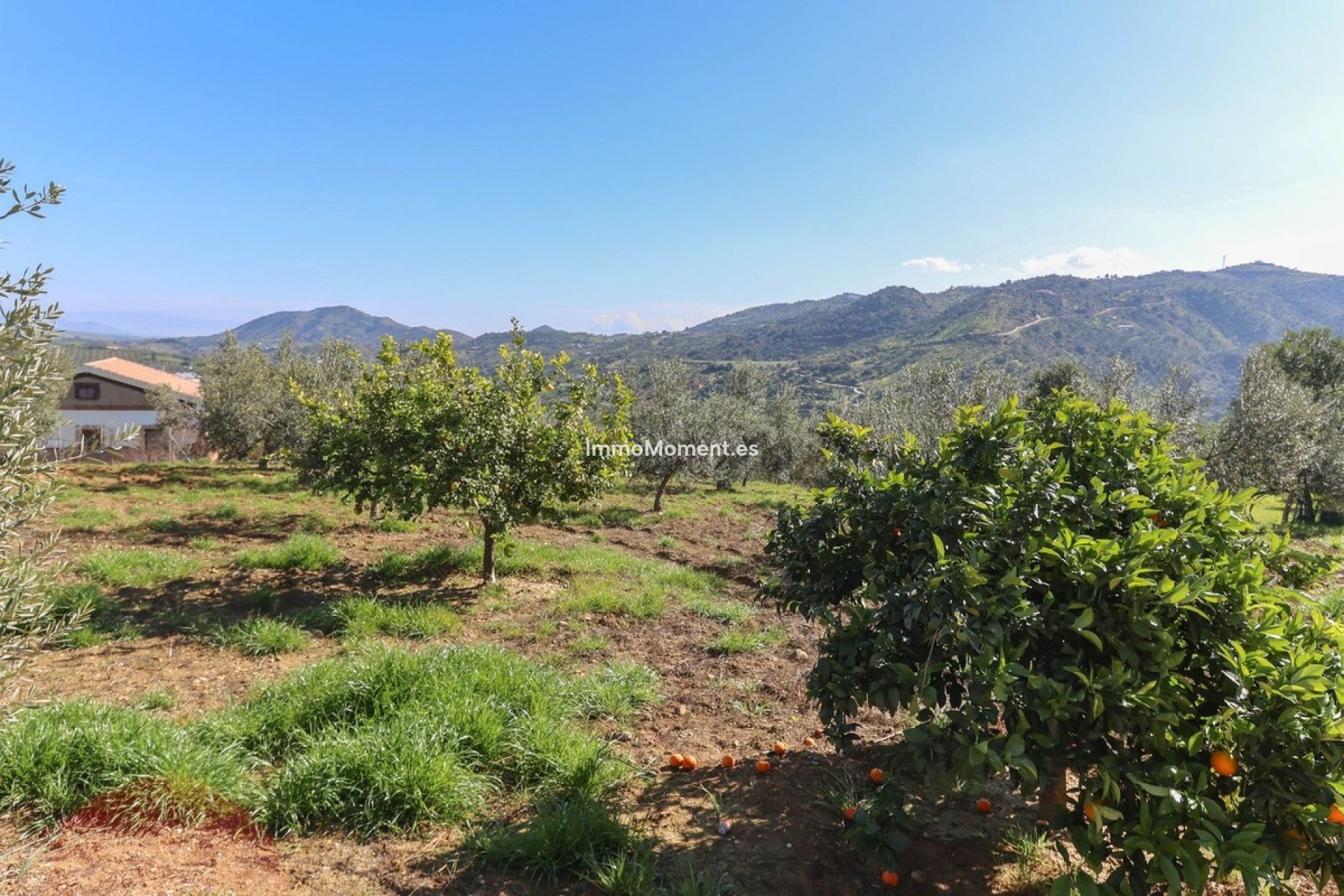 Reventa - Villa - Interior  - Guaro