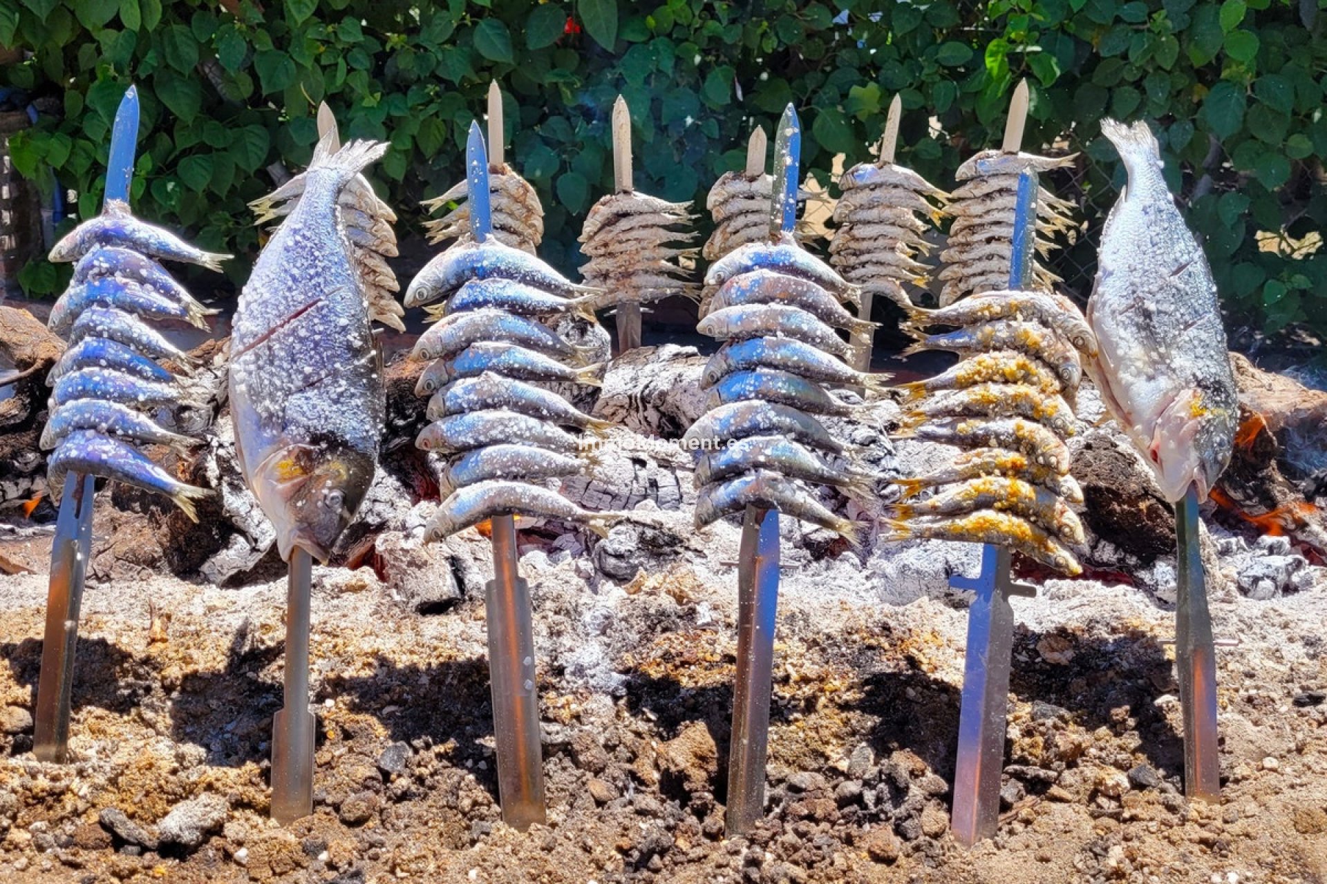 Reventa - Villa - Interior  - Guaro