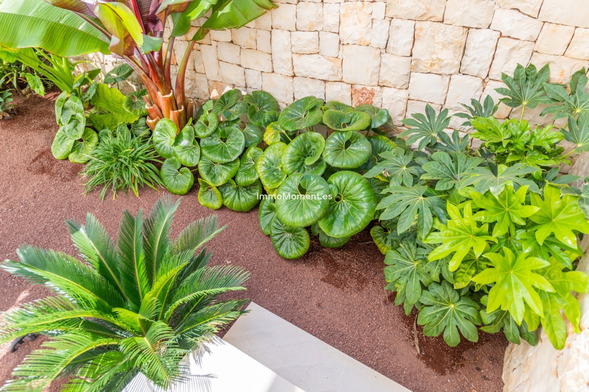 Reventa - Villa - Jávea - Jávea - Xàbia Centro