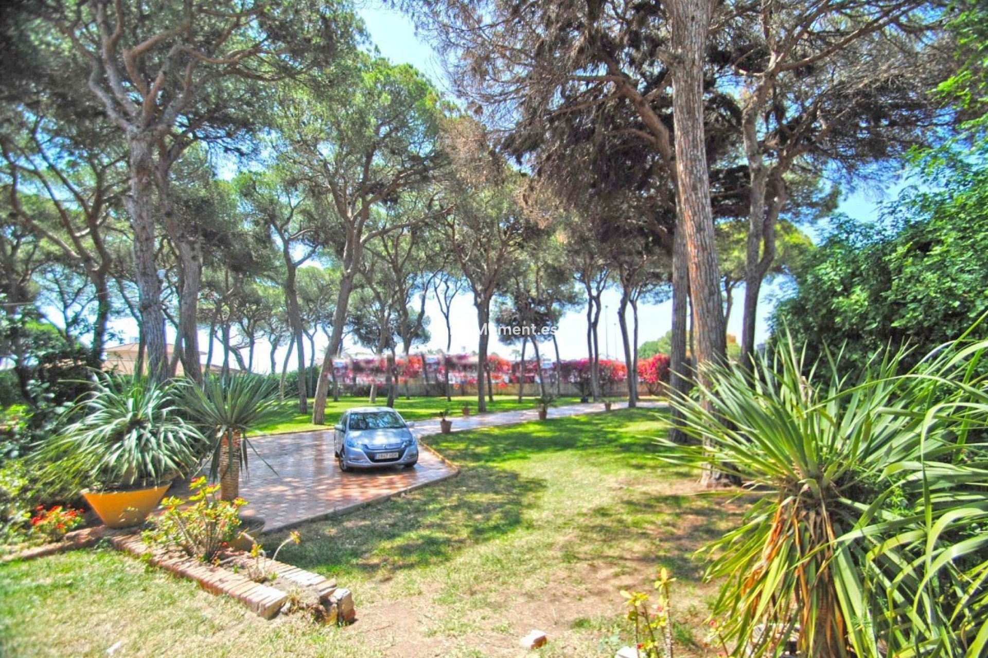 Reventa - Villa - Marbella - Elviria