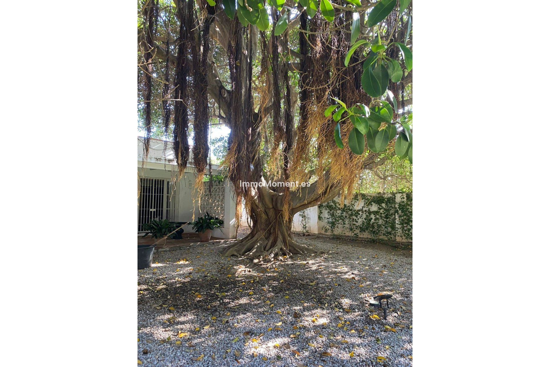 Reventa - Villa - Marbella - Guadalmina Baja