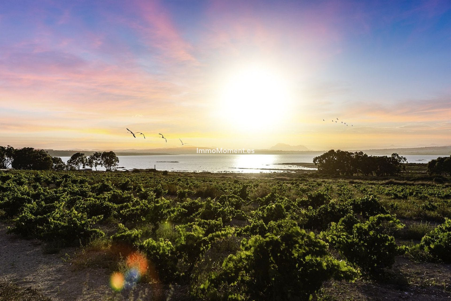 Reventa - Villa - Rojales - Ciudad Quesada