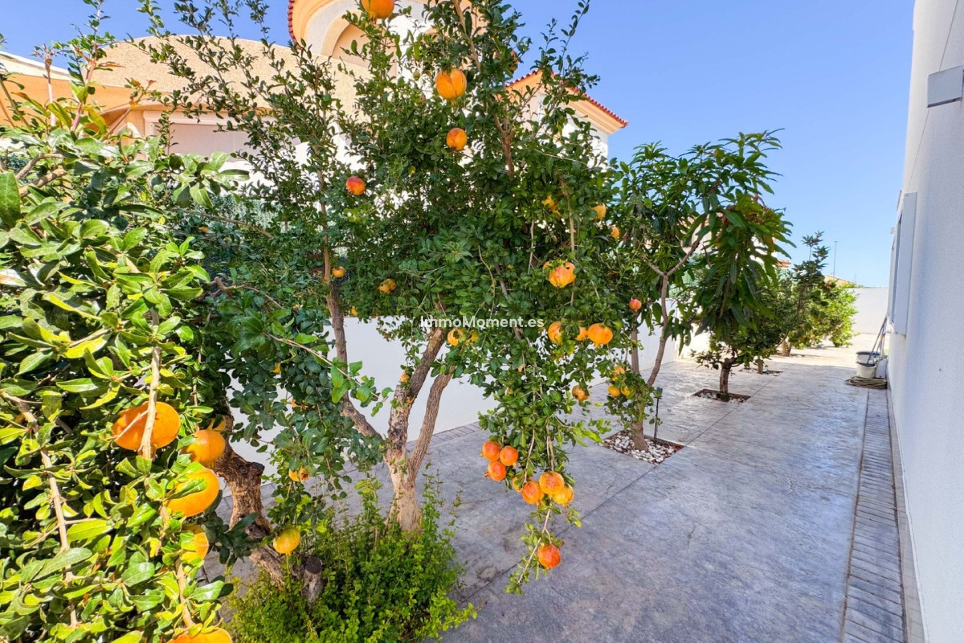 Reventa - Villa - San Fulgencio - San Fulgencio Centro