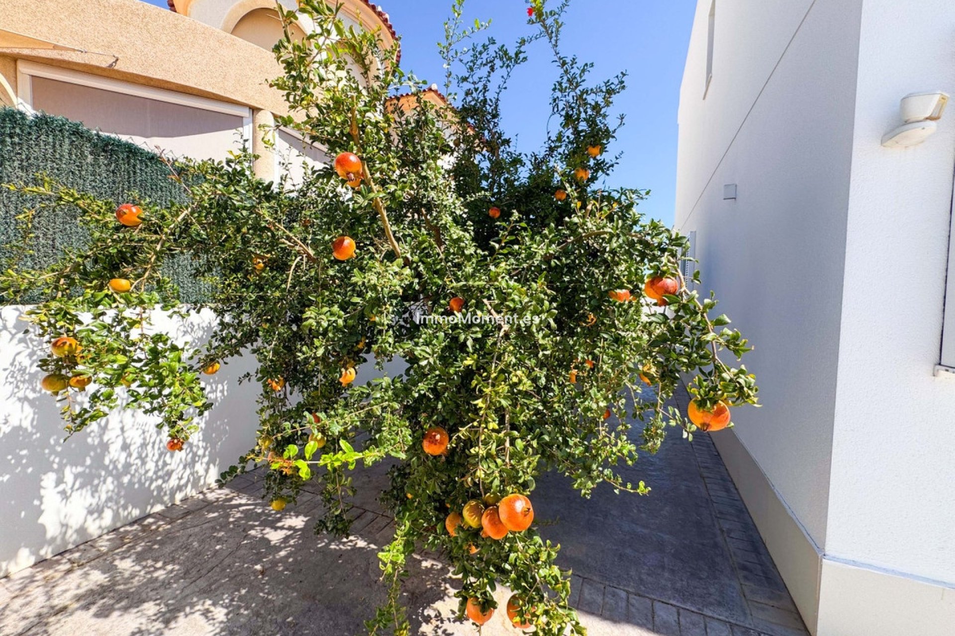 Reventa - Villa - San Fulgencio - San Fulgencio Centro