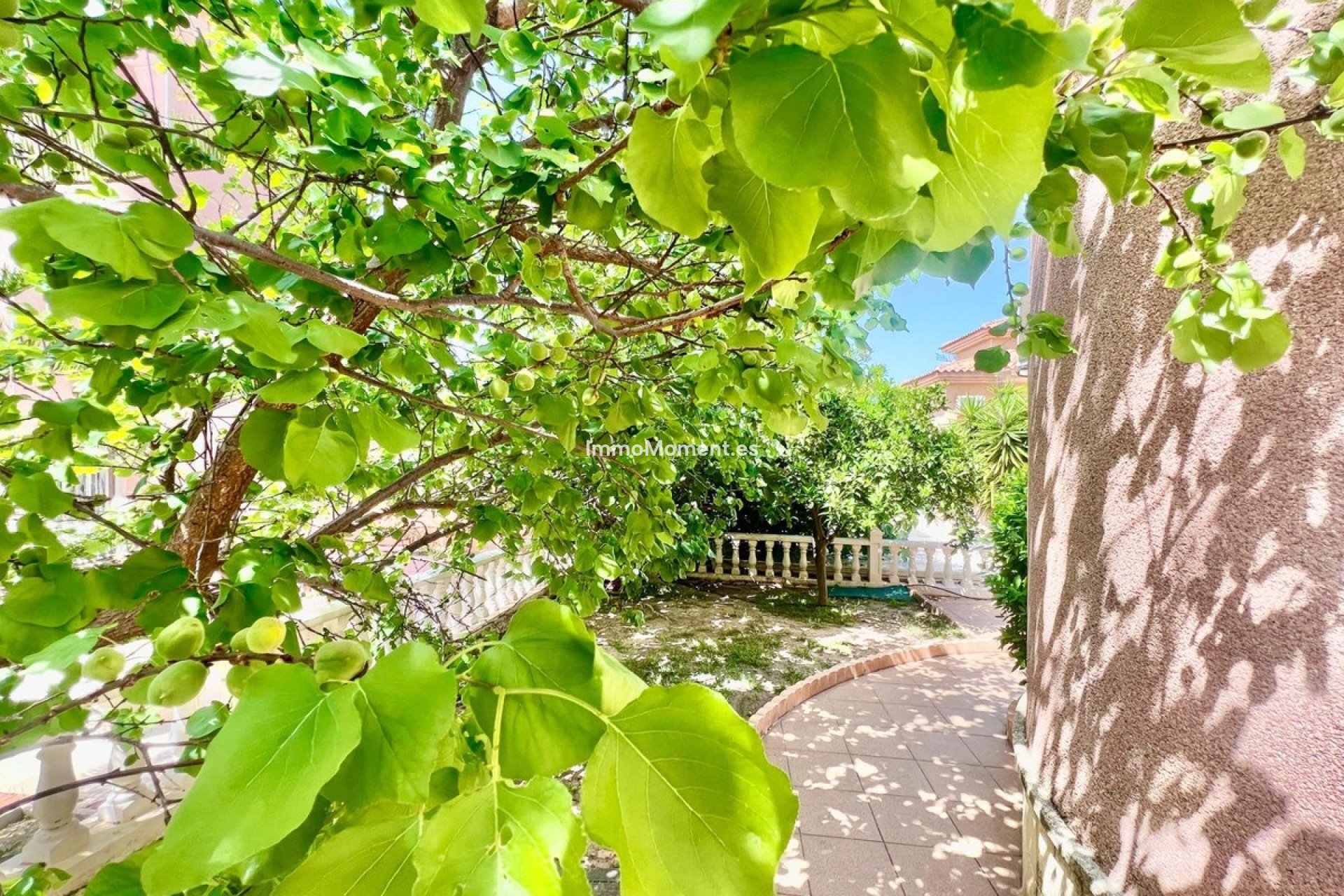 Reventa - Villa - Torrevieja - Torrevieja Centro