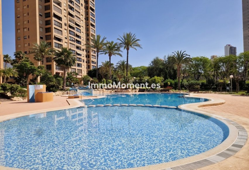 Revente - Appartement - Benidorm - Benidorm Centro